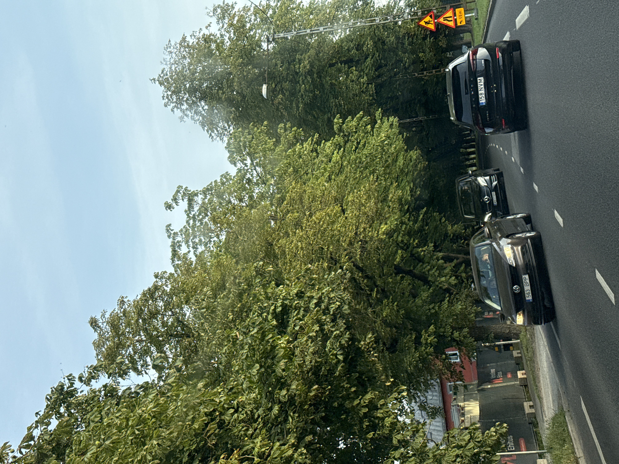 The image depicts a street scene in Tallinn, Estonia, likely during the daytime with a partly cloudy sky. Several cars are driving on an asphalt road lined with tall, mature trees on both sides.
In the foreground, a dark-colored sedan with license plate "563 BPP" is in the right lane. Behind it, a black SUV with license plate "158 NVM" is also in the right lane. Further ahead and to the left, a black Mercedes-Benz minivan is in the left lane.
On the right side of the road, there are two triangular yellow warning signs. The upper sign shows a person walking, and the lower sign indicates "50m" with a pedestrian symbol, suggesting a pedestrian crossing or area ahead. A street light is visible mounted on a pole to the right of the road, amidst the trees.
On the left side of the road, a red building with white trim is partially visible behind a black construction fence. Text reading "Ehitus" (Estonian for "construction") is visible on the fence. The trees on the left appear dense and green. The road has clear lane markings.