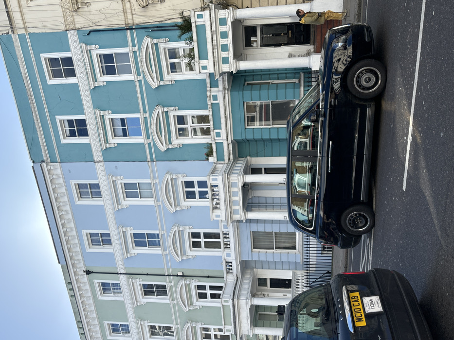 The image displays a street scene in London, United Kingdom, characterized by a row of multi-story terraced houses. From left to right, three prominent houses are painted in distinct pastel shades: light mint green, light pastel blue, and turquoise blue. These houses exhibit classical Victorian/Edwardian architectural features, including ornate white stucco detailing around sash windows, balustraded balconies on upper floors, and columned porticos at the ground-level entrances. House numbers 123 and 125 are visible on the pastel blue and turquoise houses, respectively.
On the asphalt road in the foreground, two black London taxis (LEVC models) are visible. The rear taxi, partially obscured on the left, displays a license plate "MC10 CAB" and additional markings "123/66". The front taxi is fully visible in profile, facing right.
On the sidewalk in front of the turquoise house (number 125), a single individual stands, partially obscured by the front taxi. This person wears a yellow or light brown jacket and yellow trousers, holding a white stick or cane that rests on the ground. The sky above is clear and light blue, indicating daylight conditions.