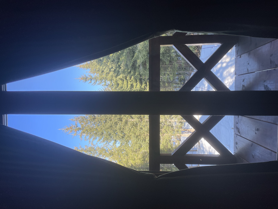 The image depicts an outdoor winter scene viewed from an interior perspective, framed by dark curtains partially open on the left and right, and vertical window/door frames in the center. The location is Palež, Montenegro.
The upper half of the view reveals a clear, bright blue sky above a dense forest of evergreen trees, likely conifers, which appear lush and well-lit by direct sunlight. No clouds are visible.
The lower half of the view shows a snow-covered ground extending into the forest. Long shadows are cast across the snow, indicating a clear, sunny day with a relatively low sun angle. In the foreground, a wooden balcony or deck is visible. Its floor consists of dark wooden planks, and it features a wooden railing with a distinctive "X" cross-hatch design, constructed from dark stained timber. Faint strings of what appear to be decorative lights are draped along the railing. No individuals or animals are present in the frame.