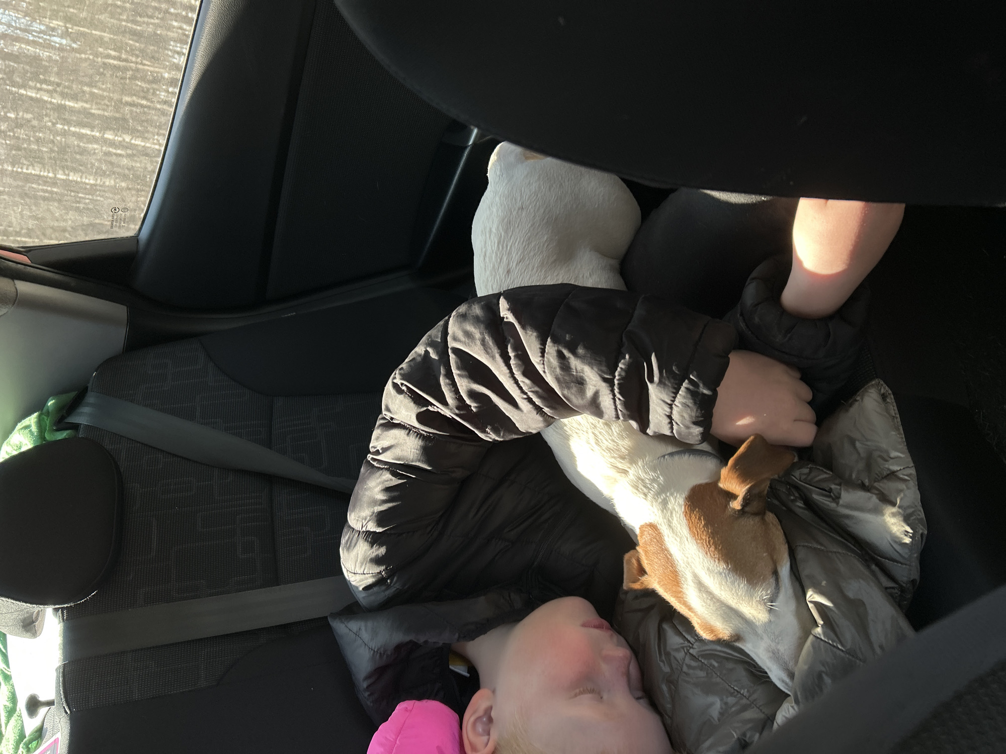 The image depicts the interior of a vehicle, specifically the back seat. A child is lying down, possibly asleep, on the seat, partially covered by a grey puffer jacket. A dog with brown and white fur is nestled beside the child, also seemingly asleep or resting. An adult hand is visible near the dog. The car's interior is dark, with grey fabric seats and black trim. The car window shows a blurry image of the outside, suggestive of a bright, possibly snowy, landscape. The car has a seatbelt across the seat. There is no information to suggest this image was taken in the city of Zavod Mikhailovskii, Russia.