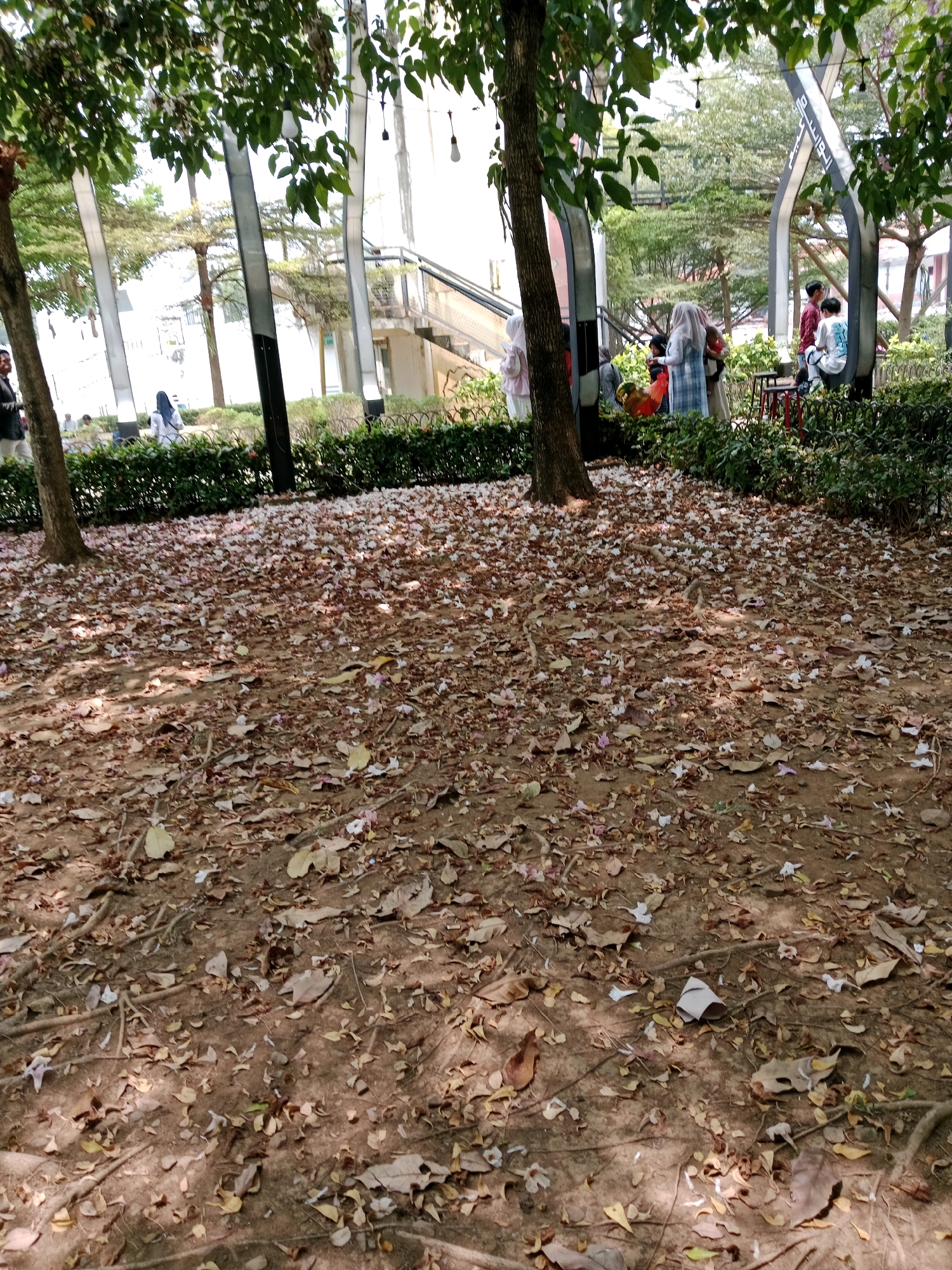 The image shows an outdoor scene with people in the background, in an area that appears to be a park or public space. The ground is covered with fallen leaves and scattered pink and white flower petals. In the mid-ground, there is a line of green bushes behind which several people are visible. One person in the background is wearing a white hijab and a blue and white plaid dress. Others are also wearing hijabs. Some people are standing near a modern architectural structure with metallic, curved supports and what appear to be hanging lights. In the foreground, there is a tree trunk on the left side of the image. The overall impression is of a serene, sun-dappled outdoor environment. It is unlikely that this specific image can be definitively linked to Cianjur, Indonesia without additional context or identifying markers.