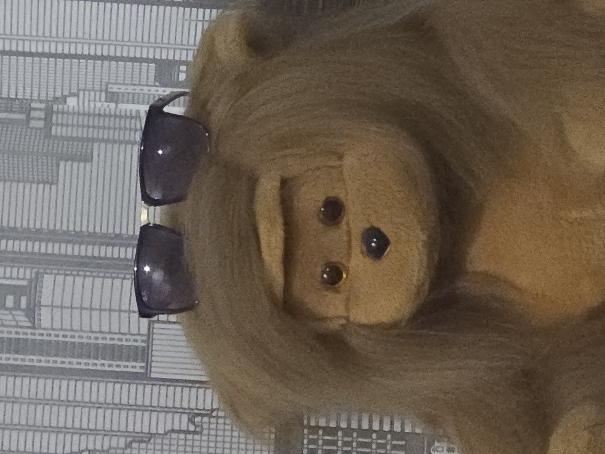 A stuffed bear with shaggy brown fur wears black sunglasses and sits in front of a wallpaper depicting a cityscape of tall buildings. The bear's face is visible beneath the sunglasses, featuring brown eyes and a dark nose. The lighting in the image is somewhat dim, casting faint shadows.