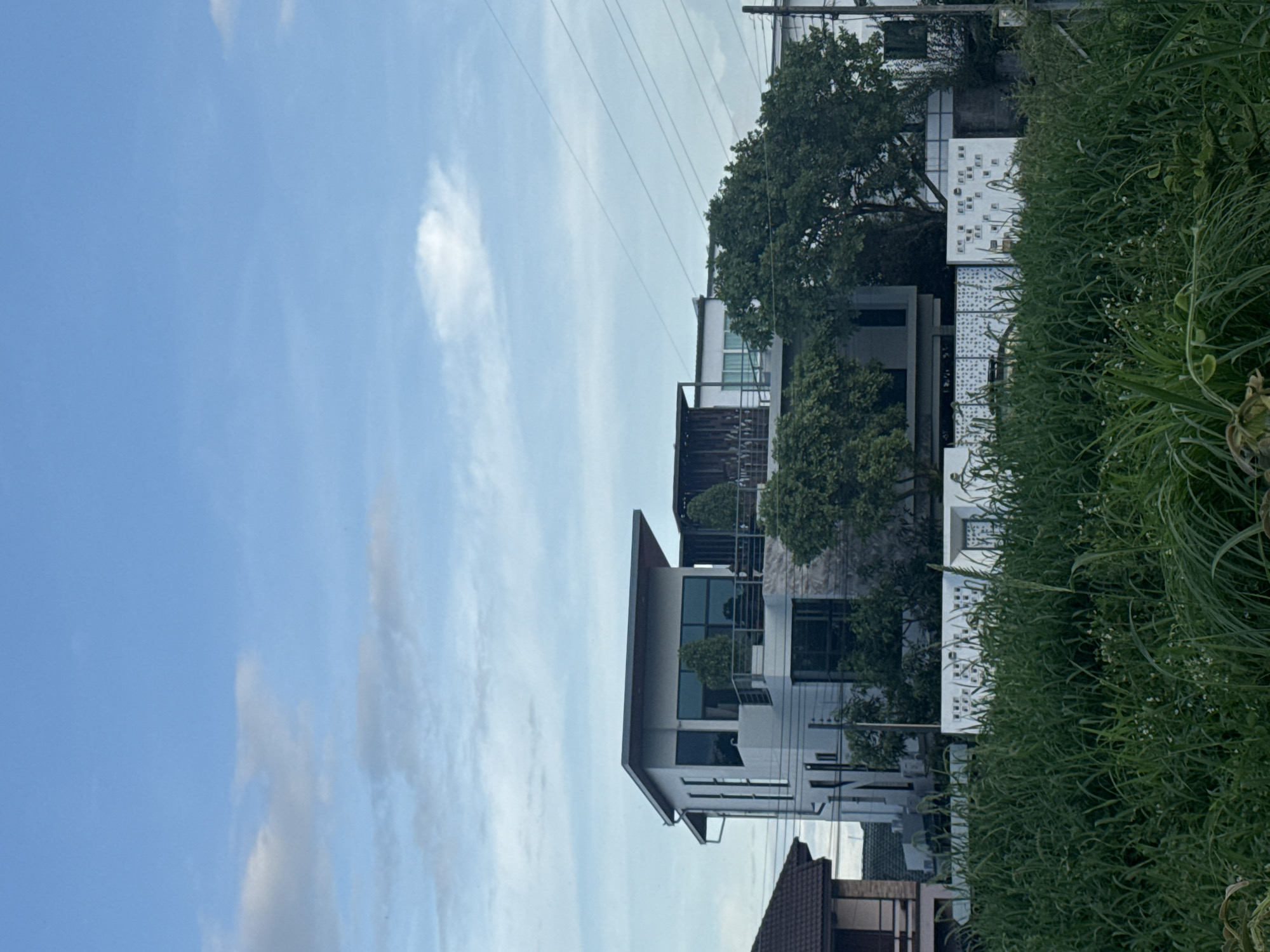 The media file displays a residential scene in Thailand. The foreground is dominated by lush, tall green grass, suggesting a somewhat overgrown or naturalistic setting. Behind the grass, a modern multi-story house is visible. The house features clean lines, white walls, and large windows, with balconies on at least two levels. Trees are interspersed around the property, with dense green foliage providing shade and privacy. The architecture appears contemporary, possibly indicating a recent construction or renovation.
In the background, a bright blue sky with wispy white clouds suggests fair weather. Several power lines are stretched across the sky, a common sight in urban and suburban environments. The overall scene conveys a sense of peaceful residential living, with a blend of modern architecture and natural elements. The time of day appears to be daytime, likely morning or afternoon, given the brightness of the sky and the lighting on the buildings. There is no visible text in the image.