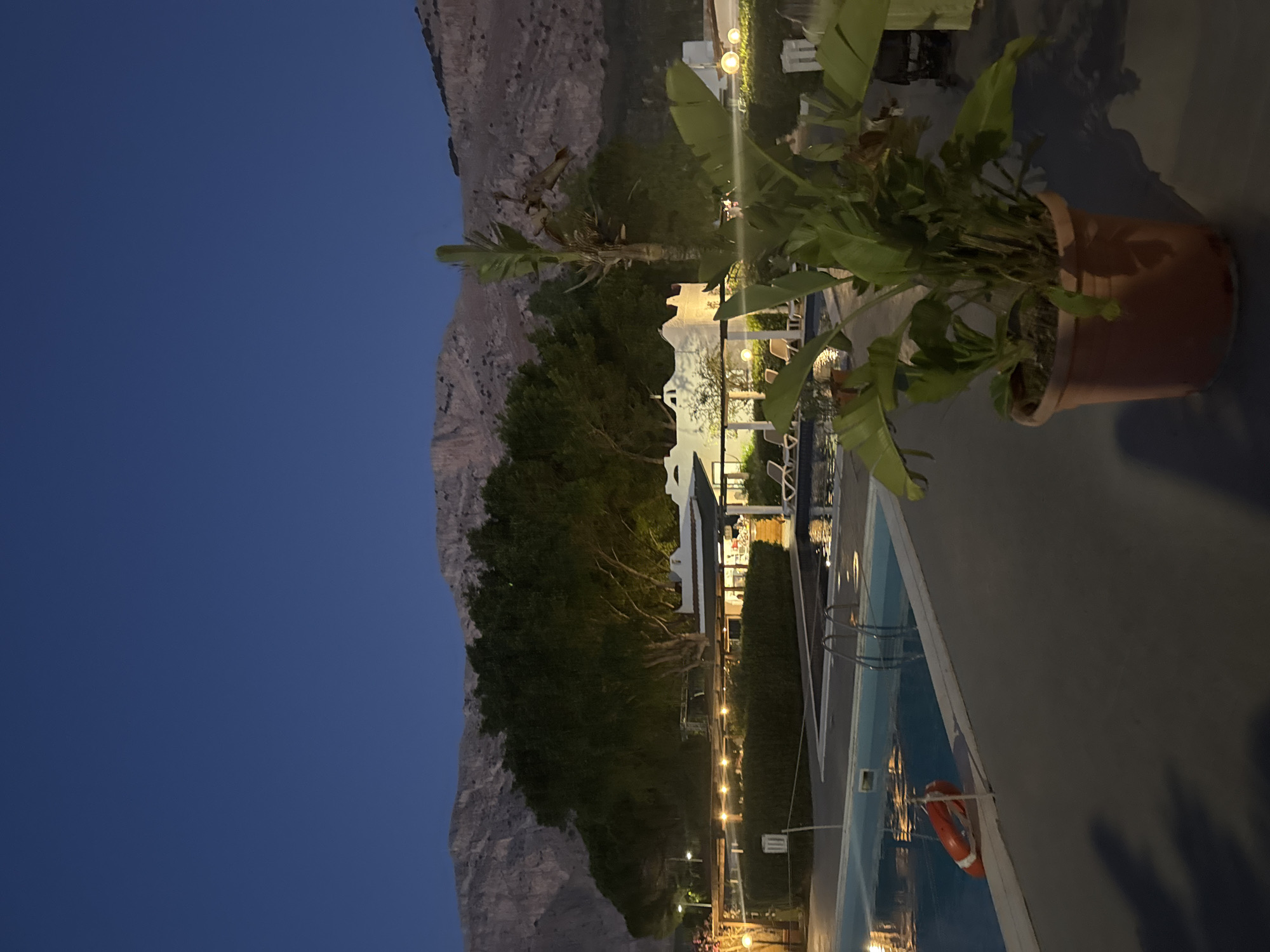 The image captures a dusk scene at a resort or hotel in Isola delle Femmine, Italy, likely during the evening. In the foreground, a large potted plant with broad leaves stands on a paved area, casting shadows. To the left, a swimming pool with clear water and visible pool ladders is present. An orange life preserver is hanging on the edge of the pool. Beyond the pool, a building with white walls and a covered outdoor seating area with lighting is visible, with rows of lounge chairs nearby. In the background, a dense cluster of trees sits at the base of a large, rocky mountain range under a dark blue sky. The overall atmosphere is serene and tranquil, suggesting a peaceful evening setting.