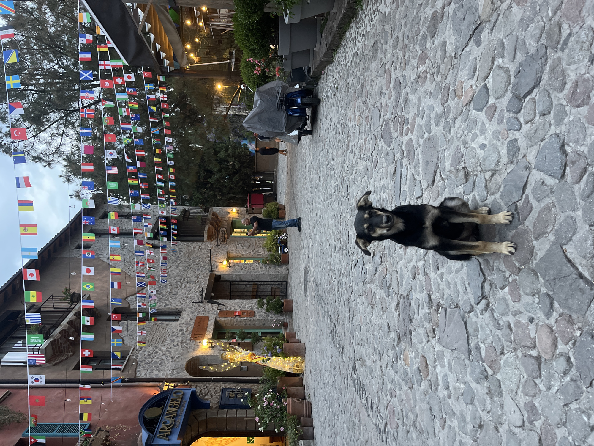 The image shows a dog sitting on a cobblestone street in Domingo Arenas, Mexico. Banners of international flags hang above the street, strung between buildings. A stone building with illuminated windows is visible on the left. In the background, a motorcycle covered by a tarp can be seen, along with two people standing nearby. A man is standing in the middle distance, wearing a dark shirt and jeans. In the lower left corner, part of a sign that reads "Arcangelo" is visible. There are flower pots and decorative lights are placed along the side of the building.