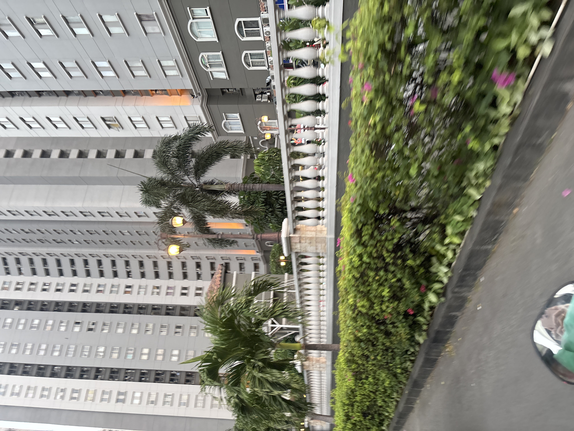 The image shows a street view in West Jakarta, Indonesia, with a focus on a modern apartment complex. Tall, grey buildings with numerous windows dominate the background. In the midground, a white ornamental fence lines the property, separating it from a lush green hedge with pink flowers. Palm trees are visible on either side of the fence, and lampposts with warm lighting are positioned along the walkway. The foreground shows a road, suggesting the photo was taken from a moving vehicle, likely a motorcycle given the reflection in the lower left corner.