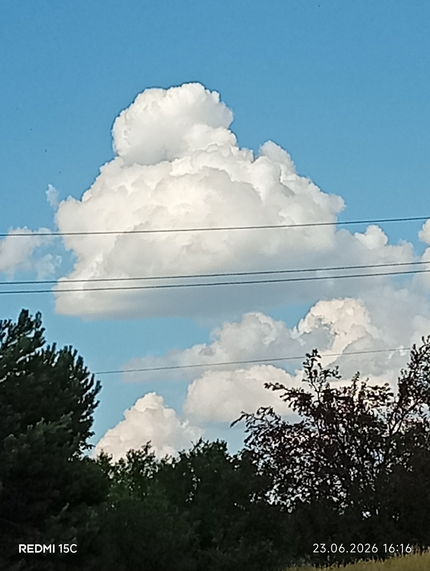 The image shows a cloudy sky with a large cumulus cloud dominating the center. The sky is blue and clear above the clouds. Several dark power lines are visible horizontally across the frame, silhouetted against the sky and clouds. In the foreground, the tops of dark green trees and some trees with dark red foliage are visible. The bottom of the image contains text: "REDMI 15C" on the left and "23.06.2026 16:16" on the right. The date suggests this is a future date. The time and clear sky indicate it is daytime. There are no people or animals visible. The overall scene is a natural landscape with man-made elements of power lines.