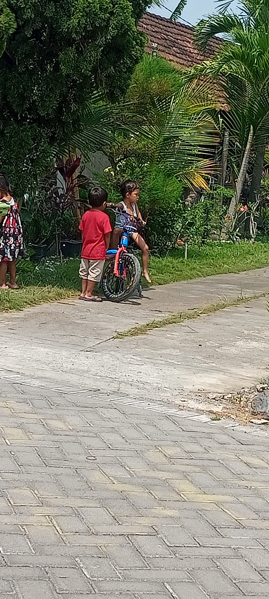 The image depicts an outdoor scene in Gempolklutuk, Indonesia. In the foreground, a paved pathway is visible, constructed with rectangular interlocking bricks. To the right of the pathway, a strip of dry grass and soil marks the transition to a grassy area. Further into the background, lush green foliage and palm trees dominate the environment. A brown-tiled roof of a building is partially visible through the greenery.
Three children are the central subjects of the image. On the right, a boy is seated on a small blue and red bicycle, facing away from the viewer and looking to the right. He is wearing a white tank top and shorts. To his left and slightly in front, another boy stands, facing away from the viewer and looking towards the bicycle. He is wearing a red t-shirt and light-colored shorts. On the far left of the image, a third child, likely a girl, is partially visible, wearing a patterned dress. The children appear to be engaged in play or a pause in their activities. The overall impression is a sunny, casual moment in a tropical or subtropical setting.