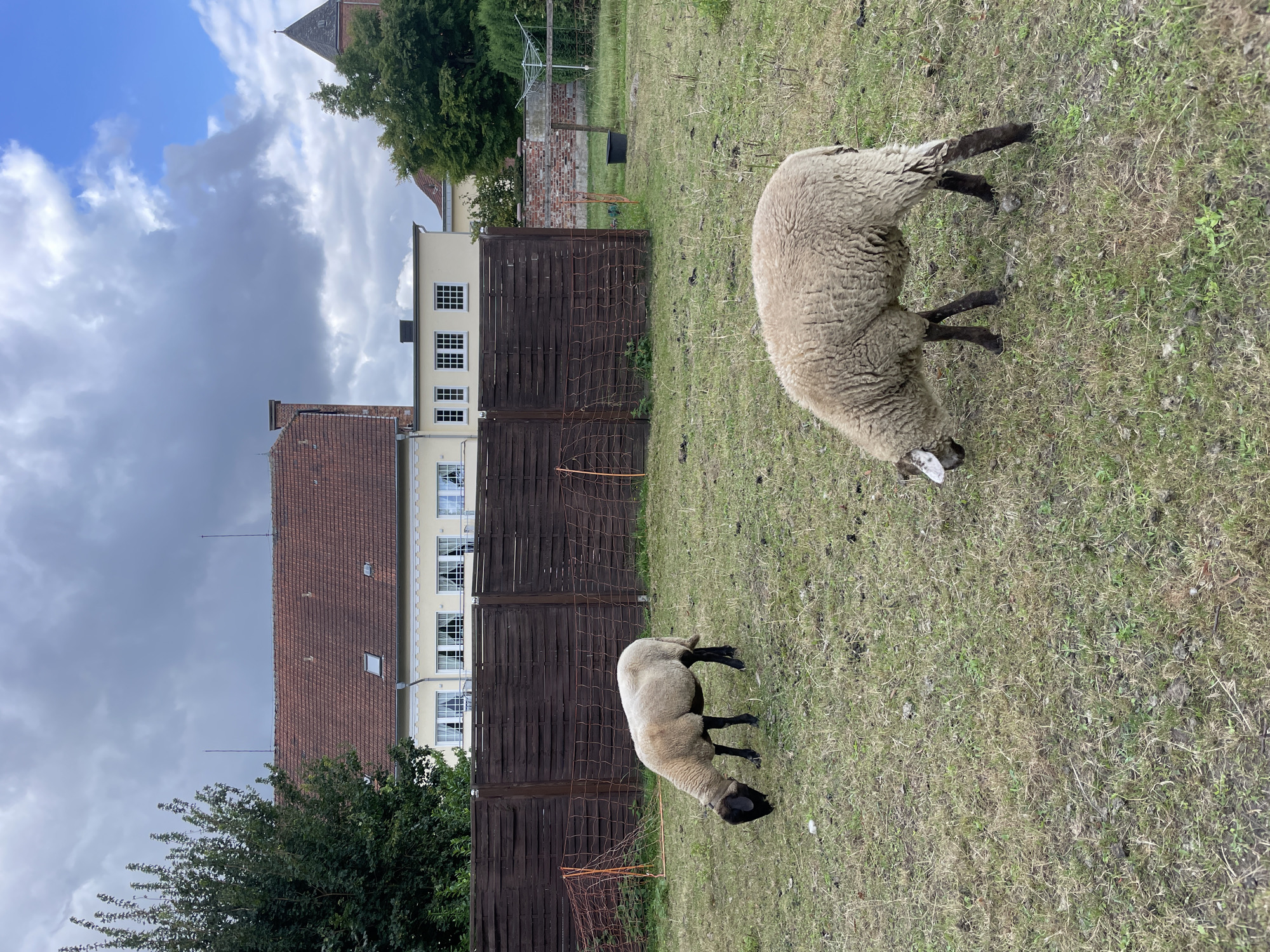 Two sheep are grazing in a grassy enclosure. The sheep on the left is facing left and has a black head and neck with a white body. The sheep on the right is facing right and is entirely light brown. Behind the sheep, a dark brown wooden fence runs horizontally across the frame. Beyond the fence, a yellow building with a red tiled roof is visible. The sky above is cloudy with patches of blue. The scene appears to be in a rural or semi-rural area. Based on the visual cues, this could be a private backyard or a small farm area within Salzkotten, Germany.