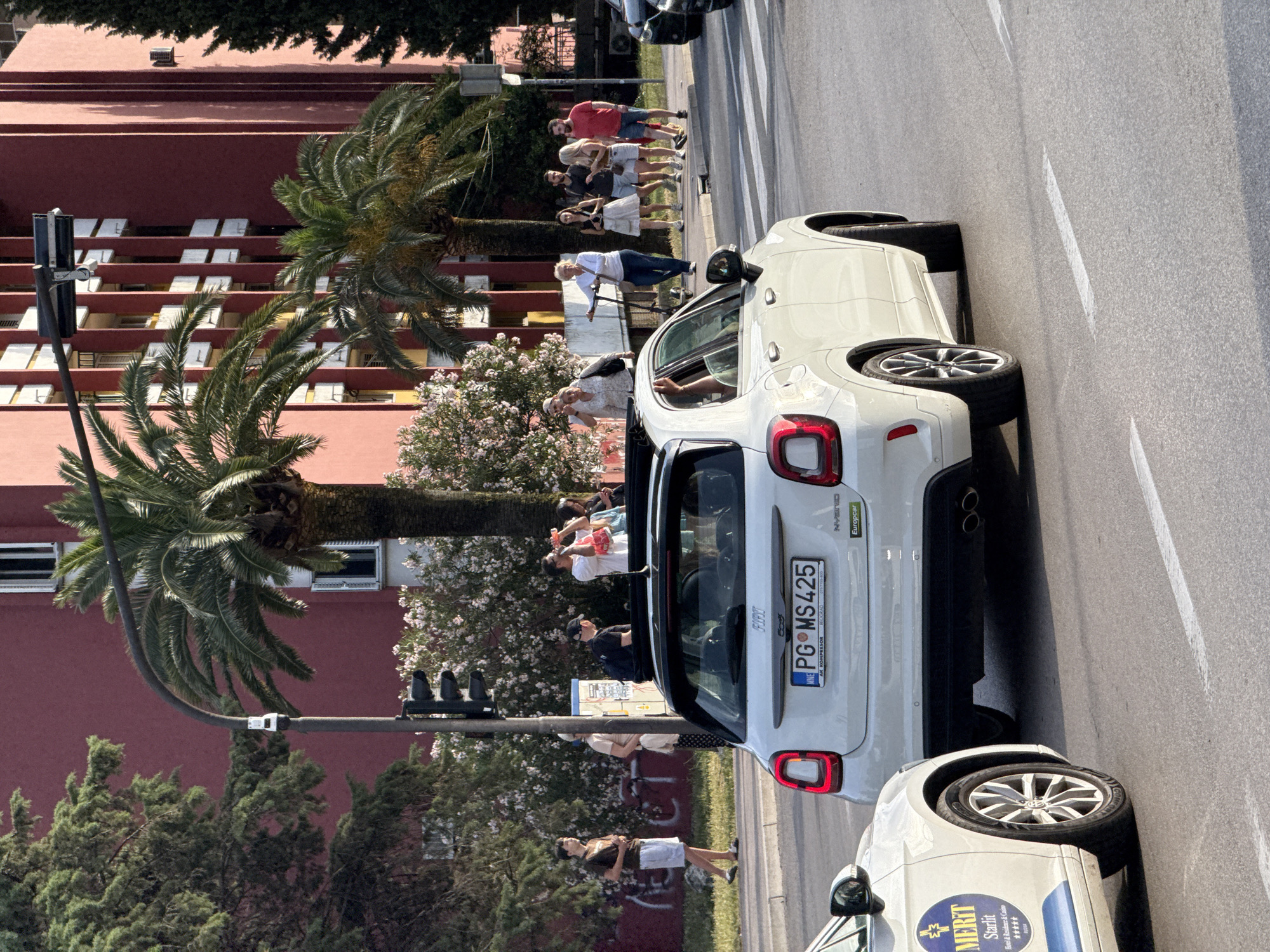 This detailed image captures an urban street scene in Budva, Montenegro, during what appears to be late afternoon or early evening, evidenced by the warm sunlight and shadows.
In the foreground, a white Fiat 500X Hybrid with a convertible-style roof is positioned in a traffic lane, facing away from the viewer. Its Montenegrin license plate reads "PG MS425" and includes "AK KOMPRESOR BEOGRAD" and "Europcar" branding. An individual's arm is extended out the open passenger-side window. To the immediate left, the front wheel and lower side of another white vehicle are visible, identified by "MERIT Starlit Hotel & Residence & Casino" branding on its door, suggesting it is a taxi or shuttle service. Further right, a portion of a dark-colored vehicle is partially visible.
The road surface is asphalt with white painted markings for lanes and a crosswalk. On the right side of the street, a group of approximately ten pedestrians of varying ages is present on a sidewalk, some standing near a crosswalk, others walking. One woman is seen operating an electric scooter. Further down the sidewalk on the left, an additional group of people is visible, with one person holding a red bottle to their mouth, appearing to drink.
The background features a large, multi-story building with a red or terracotta-colored facade, characterized by numerous white-framed windows and balconies. Several prominent palm trees with dark green fronds and light brown trunks are interspersed along the street, casting shadows. Other green foliage, including conifers and flowering shrubs with white blossoms, lines the sidewalks. A black street light pole with a traffic light signal arm extends over the street, positioned near the center of the image. The sky is largely clear and bright, indicating fair weather.