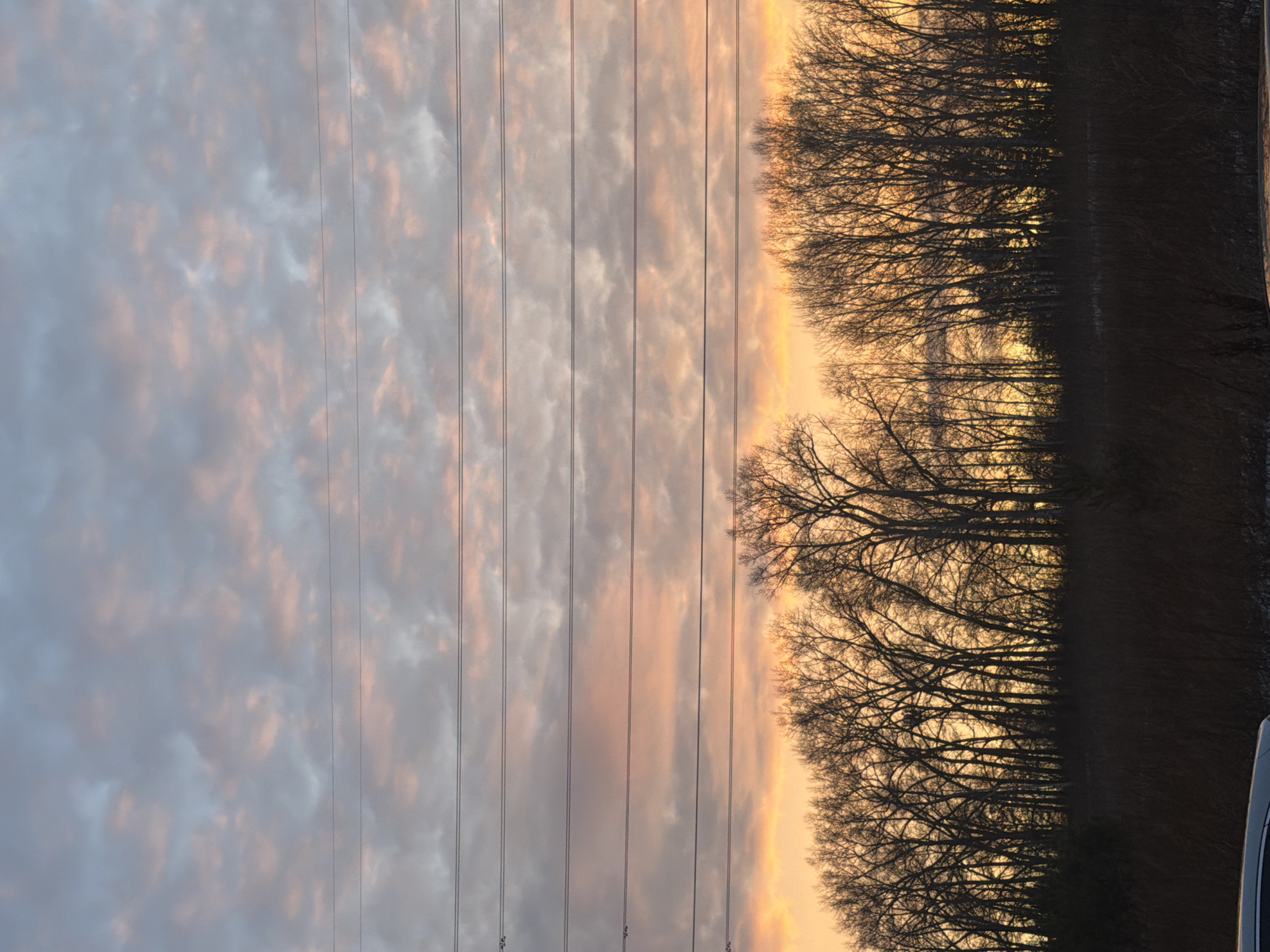 The image shows a landscape at sunset. Silhouetted trees line the right side of the frame, their bare branches contrasting against the sky. Overhead power lines stretch across the image, vertically bisecting the scene. The sky displays a gradient of colors, ranging from pinks and oranges near the horizon to grays and blues higher up, suggesting the presence of clouds. A partial view of a vehicle is visible on the lower right. The location is Krasnoyarsk, Russia.