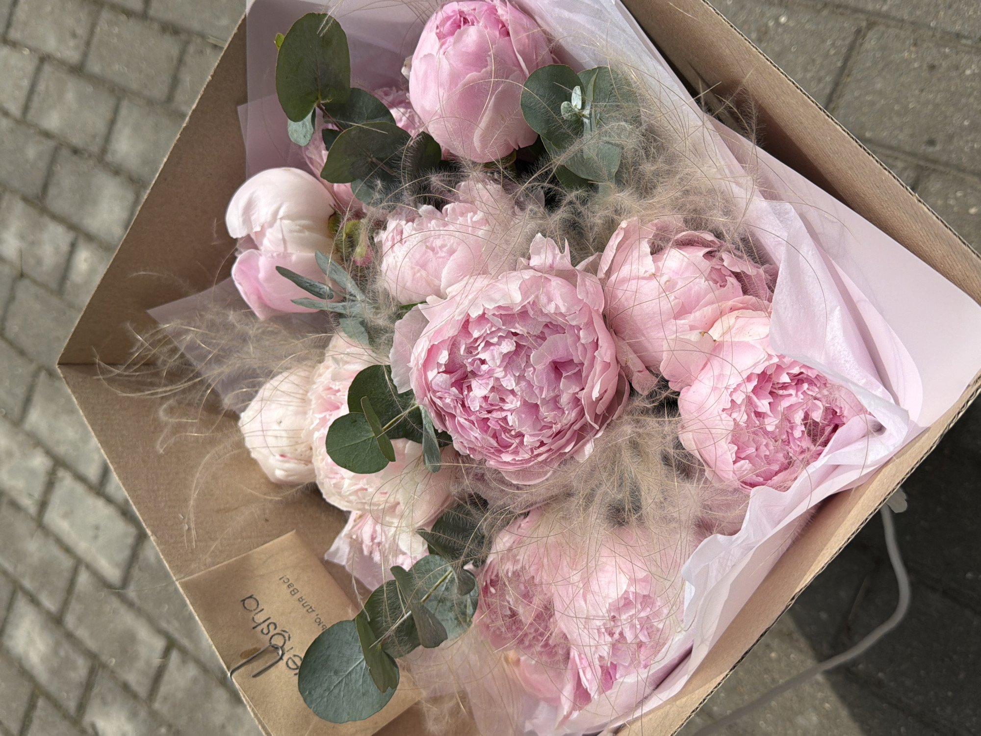An overhead shot captures a vibrant bouquet of pink peonies, eucalyptus leaves, and wispy, feathery decorative grass, presented in an open brown cardboard box. The bouquet is wrapped in layers of light pink and white translucent paper.
The prominent subjects are the numerous, lush pink peonies, some fully bloomed revealing their intricate petals, while others are still partially closed. Dark green, rounded eucalyptus leaves are interspersed throughout the arrangement, providing a contrasting color and texture. Delicate, light brown, feathery plant material adds softness and volume to the bouquet.
The cardboard box holds the floral arrangement securely, suggesting it's either in transit, awaiting pickup, or has just been delivered. The box rests on a textured grey paved surface, likely cobblestones or interlocking pavers, indicating an outdoor setting. Bright natural light illuminates the scene, casting soft shadows and highlighting the textures of the flowers and packaging, suggesting it is daytime with clear, sunny weather.
A small brown paper tag, partially visible at the bottom left, is tied to the bouquet. The text on the tag, although partially obscured and upside down, appears to read "Elesha" or a similar stylized name, followed by the Russian phrase "био, для Вас!" which translates to "bio, for You!". The overall aesthetic is elegant and delicate, evoking feelings of beauty and appreciation. The location context provided is Satino-Russkoe, Russia.