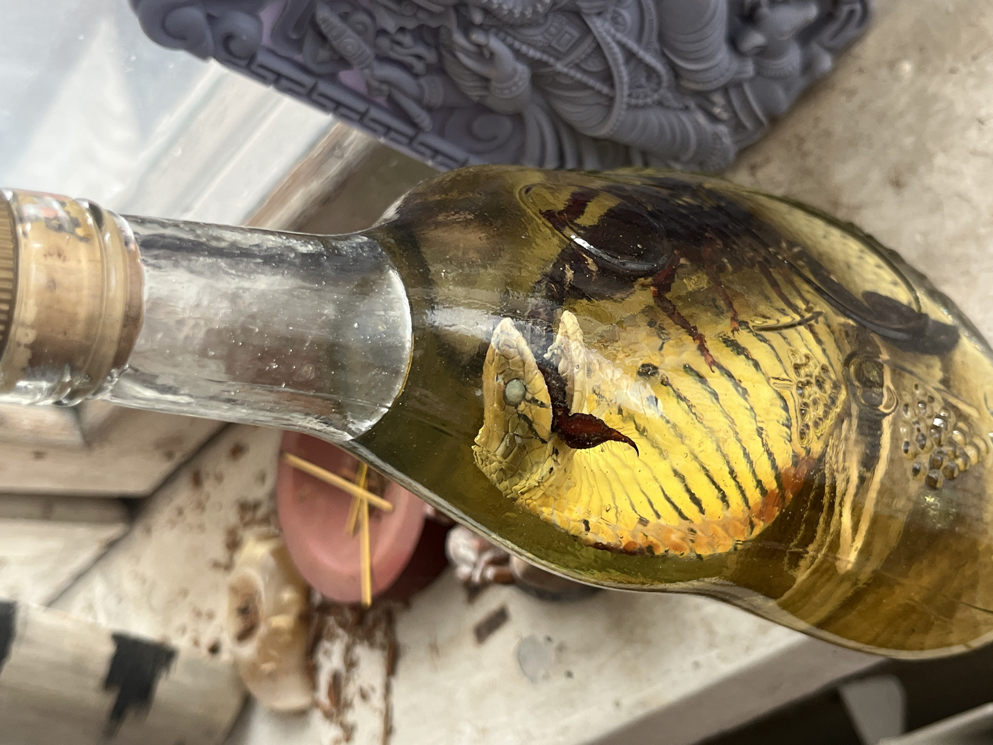 A close-up shot focuses on a glass bottle containing a preserved snake and what appears to be an insect, submerged in a yellowish liquid. The snake, prominently displayed, has vibrant yellow and black stripes and its head is visible, with its tongue extended. A dark insect, possibly a beetle, is partially obscured behind the snake. The bottle has a cork stopper. In the background, out of focus, are objects on a light-colored surface, including what looks like a pink dish with yellow sticks, and decorative gray figures. The scene appears to be indoors, with natural light coming from the right side. There are no people visible in the image. This image is not associated with Moscow, Russia.