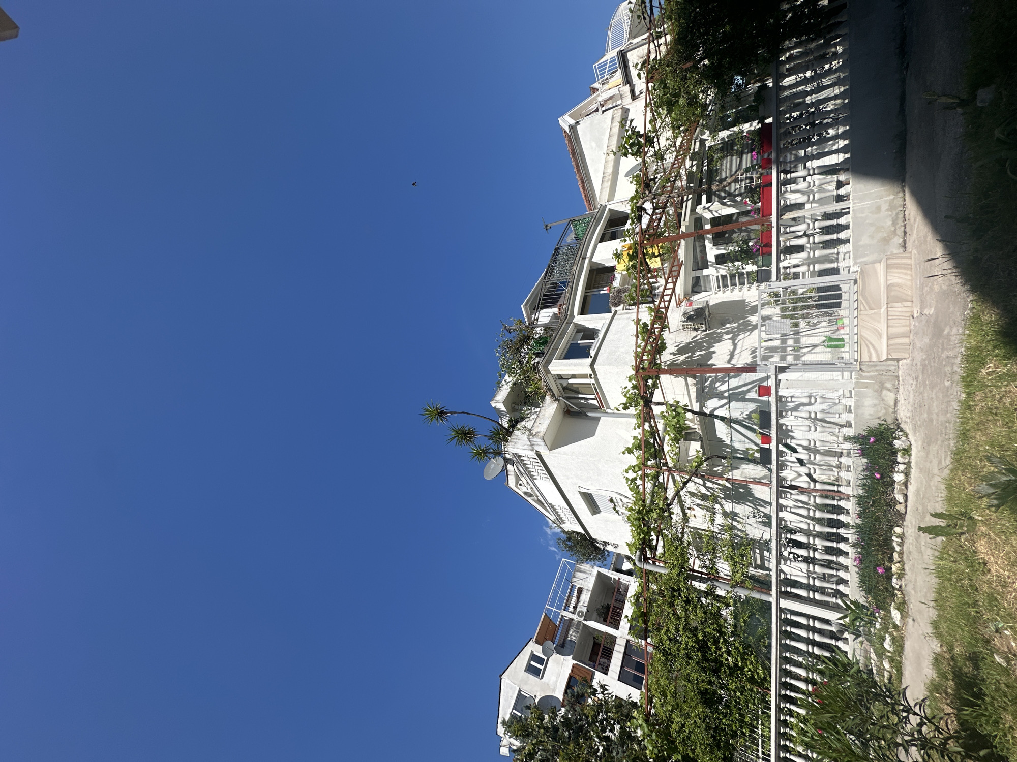 The image depicts a building complex in Budva, Montenegro. The architecture features white buildings with balconies, greenery, and a white fence along a walkway. The sky is bright blue and clear. A single bird is visible in the sky.