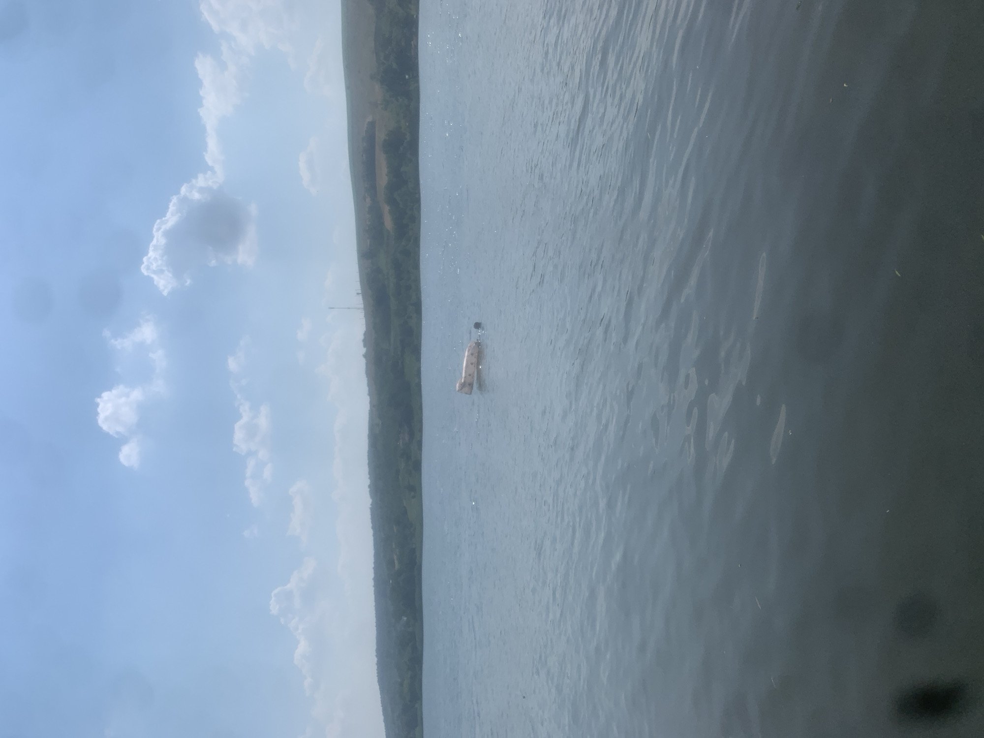 The image depicts a person on a paddleboard in a body of water. The person is positioned in the middle of the frame, standing on the board which is partially submerged. The water is calm with ripples visible on the surface. In the background, a lush green hillside stretches across the scene, its slope covered in trees and vegetation. The sky above is a pale blue, dotted with fluffy white clouds. The overall scene suggests a peaceful, outdoor activity on a clear day. There is no visible text in the image.