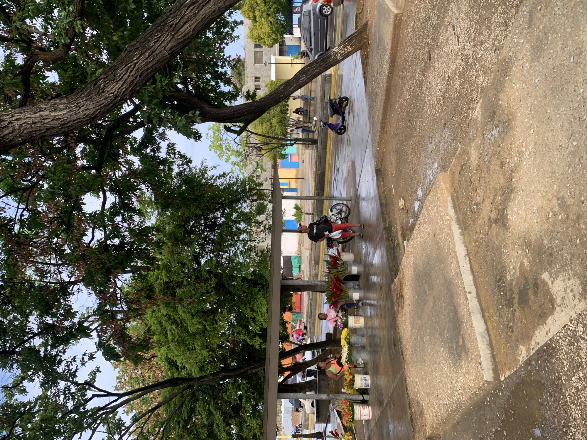 The image depicts a street scene in Juan Griego, Venezuela, likely near a market or roadside stall. The foreground shows wet concrete pavement with scattered gravel, indicating recent rain or cleaning. In the middle ground, a covered structure serves as a makeshift stall where two women are seated. They appear to be vendors, with buckets of colorful flowers displayed in front of them. The flowers are arranged in white buckets, some with visible labels like "Splintex". A man in a black t-shirt and red shorts stands to the right, holding a white plastic bag and what appears to be a tool or device. A motorcycle is parked behind him. Further in the background, a purple scooter is parked on the wet road. Cars and other people are visible in the distance, suggesting an active urban environment. The background features buildings with colorful facades and trees lining the street, common in the tropical climate of Venezuela. The overall atmosphere suggests a typical day in a bustling Venezuelan town.