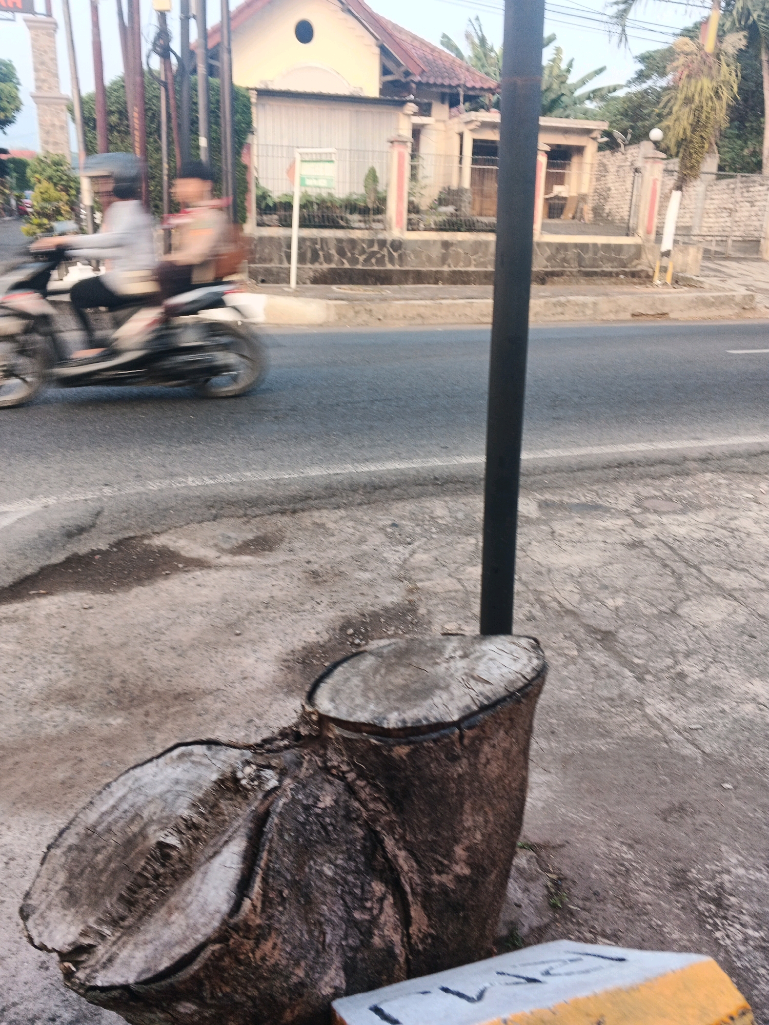 The image depicts a street scene in Semarang, Indonesia, focusing on a motorcycle in motion and a tree stump. A person wearing a helmet is riding a motorcycle on a paved road. Another person is seated behind the rider. The background shows a building with a red roof and a fence. In the foreground, a large tree stump is visible on the side of the road, next to a street light pole. The overall scene suggests an outdoor environment, possibly a residential or commercial area within the city.