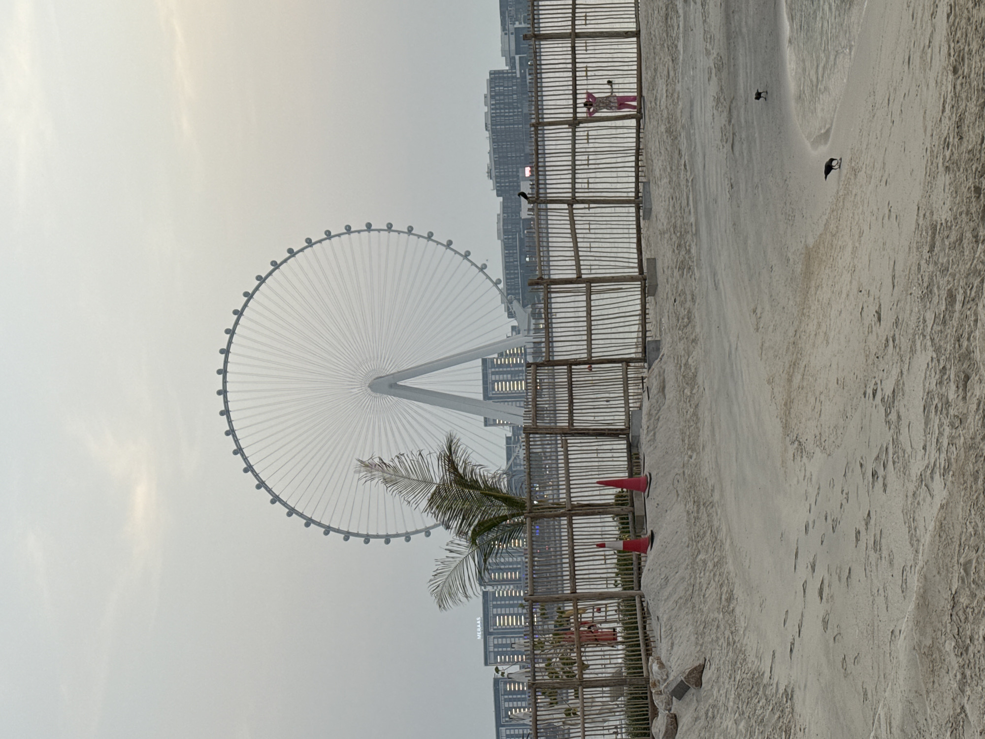 This photograph captures a view of the Ain Dubai observation wheel, situated on Bluewaters Island, Dubai, United Arab Emirates. In the foreground, a sandy beach with footprints is visible, bordered by a rustic wooden fence. Beyond the fence, a body of water separates the beach from a row of modern buildings, with the Ain Dubai wheel prominently positioned in the background. A lone palm tree stands near the fence, its fronds reaching towards the sky. A person dressed in pink is visible near the fence on the right side of the frame. Several birds are scattered across the sandy area, with one perched on the fence. The sky is overcast and appears to be early morning or late evening.