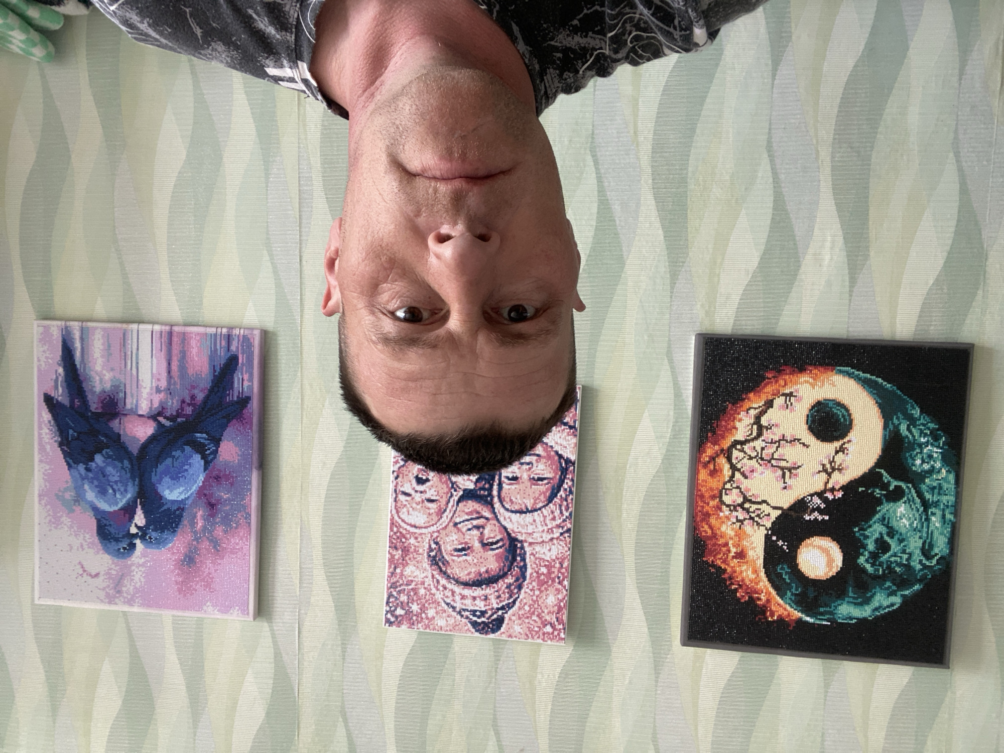 A man is seen upside down, positioned between three canvas prints hanging on a wall. The wallpaper is pale green and white with a wavy pattern. The prints depict: two bluebirds kissing against a pink and purple backdrop; three faces in reddish-pink tones; and a yin and yang symbol with cherry blossoms and fire/water elements. The man is wearing a grey and black patterned shirt. The setting appears to be indoors. It is unlikely the image is of Фоки, Russia.