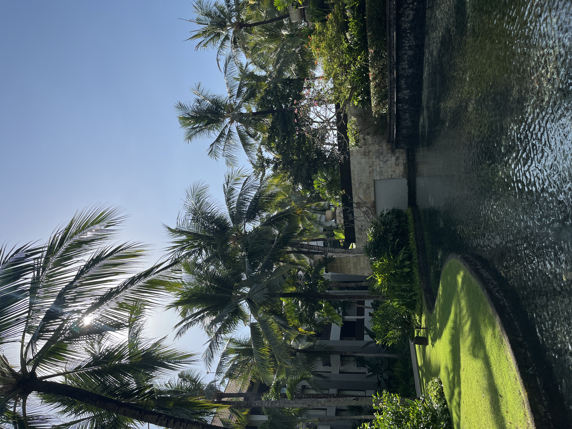 The image depicts a tropical resort setting with lush palm trees and a serene body of water. In the background, a multi-story building with balconies is visible, suggesting it is part of a hotel or resort complex. The architecture appears modern with clean lines. A well-maintained green lawn curves along the edge of the water, with sunlight casting dappled shadows from the palm fronds. The water is dark and reflects the surrounding foliage. A stone wall with a textured surface forms a boundary for a section of the water, and further back, more dense greenery and flowering plants are present. The sky is clear blue, indicating a sunny day. The scene is characteristic of a resort in Kuta Selatan, Indonesia, known for its beautiful beaches and tropical ambiance. There are no people visible in the image.
