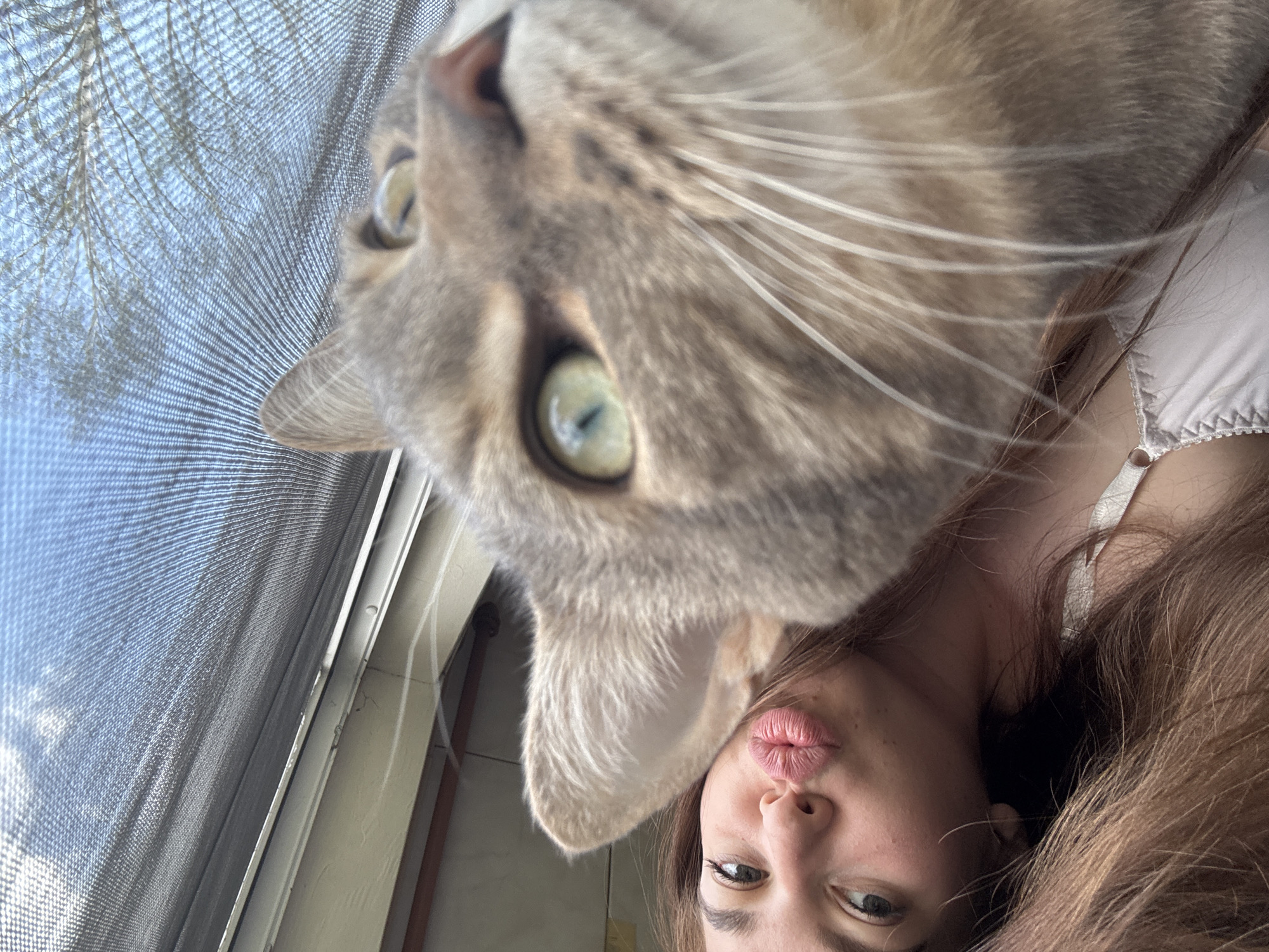 A person and a cat are close together in this selfie. The person is mostly visible from the neck up, with long brown hair. The cat's face is closer to the camera, appearing larger than the person's face. The cat is gray, with green eyes and prominent whiskers. A window with a screen is visible in the background. The location in the city of Мещёры, Russia, cannot be determined from the image.
