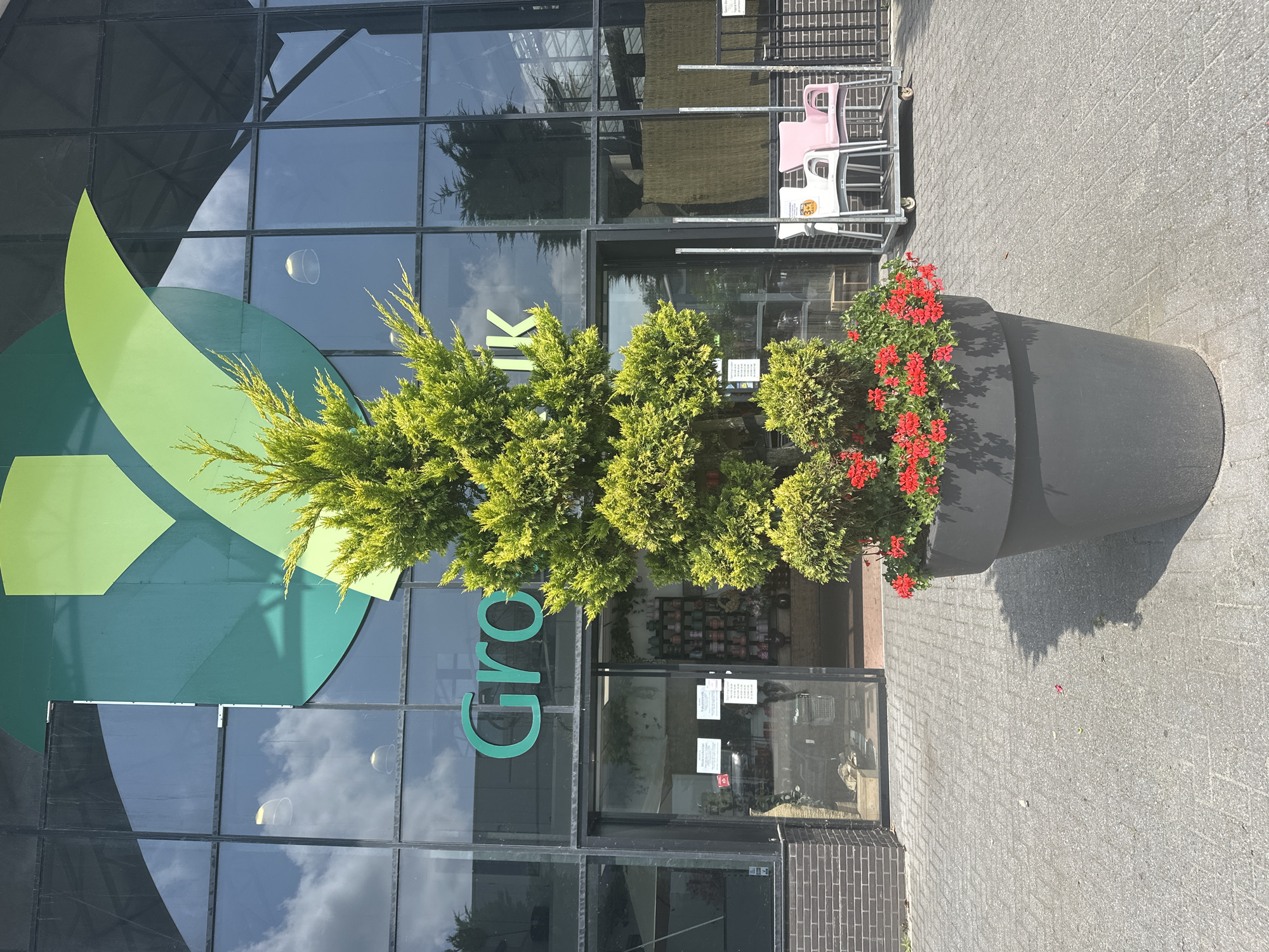 A large, potted evergreen tree with bright red flowers at its base stands in front of a modern building with large glass windows. The building has a large green logo on its facade, and the words "Groen Rijk" are visible in green lettering above the entrance. The entrance appears to be a set of glass double doors, one of which is ajar, revealing shelves of products inside. White and pink chairs are stacked on a trolley to the right of the entrance. The ground is paved with grey interlocking bricks. The sky is visible through the windows, reflecting clouds and indoor lights. The scene appears to be a garden center.