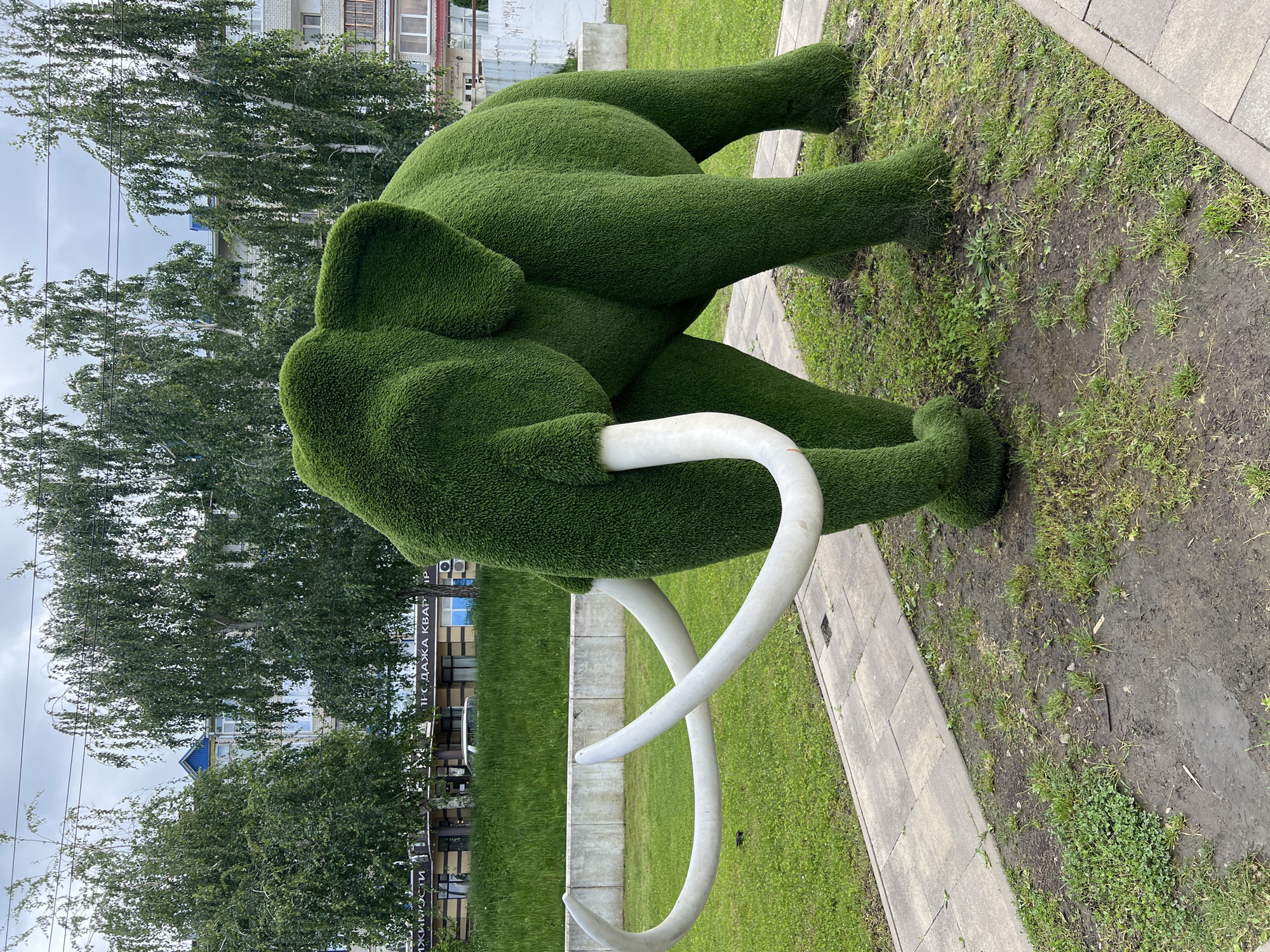 A topiary of a mammoth stands in Goryachiy Klyuch, Russia. The mammoth, made of bright green shrubbery, has large, curled white tusks. It is positioned on a patch of green grass next to a paved walkway. Beyond the sculpture, there are green trees, a low gray concrete wall, a building with a sign in Cyrillic, and an overcast sky.