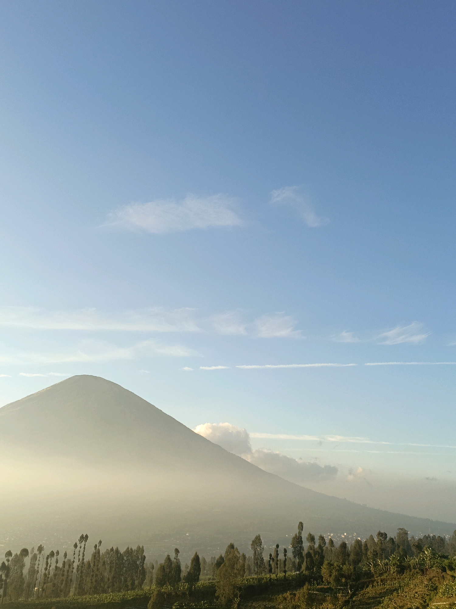This image depicts a serene natural landscape in the vicinity of Butuh Kidul, Indonesia, featuring a prominent, mist-shrouded mountain. The sky is a clear, pale blue, with sparse, wispy clouds scattered across the upper portion of the frame, indicating it is likely morning or late afternoon. A conical mountain, possibly Mount Sumbing, dominates the left side of the image, its peak softened by a gentle layer of mist or fog that extends down its slopes and into the valley below.
In the foreground, a verdant landscape unfolds with a dense arrangement of trees and foliage. Many of the trees are tall and slender, with a sparse canopy, characteristic of certain tree species found in agricultural or elevated regions. The vegetation appears to be growing on rolling hills, suggesting a terraced or uneven terrain. In the distance, nestled within the mist at the base of the mountain, a small cluster of buildings can be discerned, indicating the presence of a settlement or village. There are no people or animals visible in the image. The overall atmosphere is tranquil and picturesque, highlighting the natural beauty of the Indonesian countryside.
