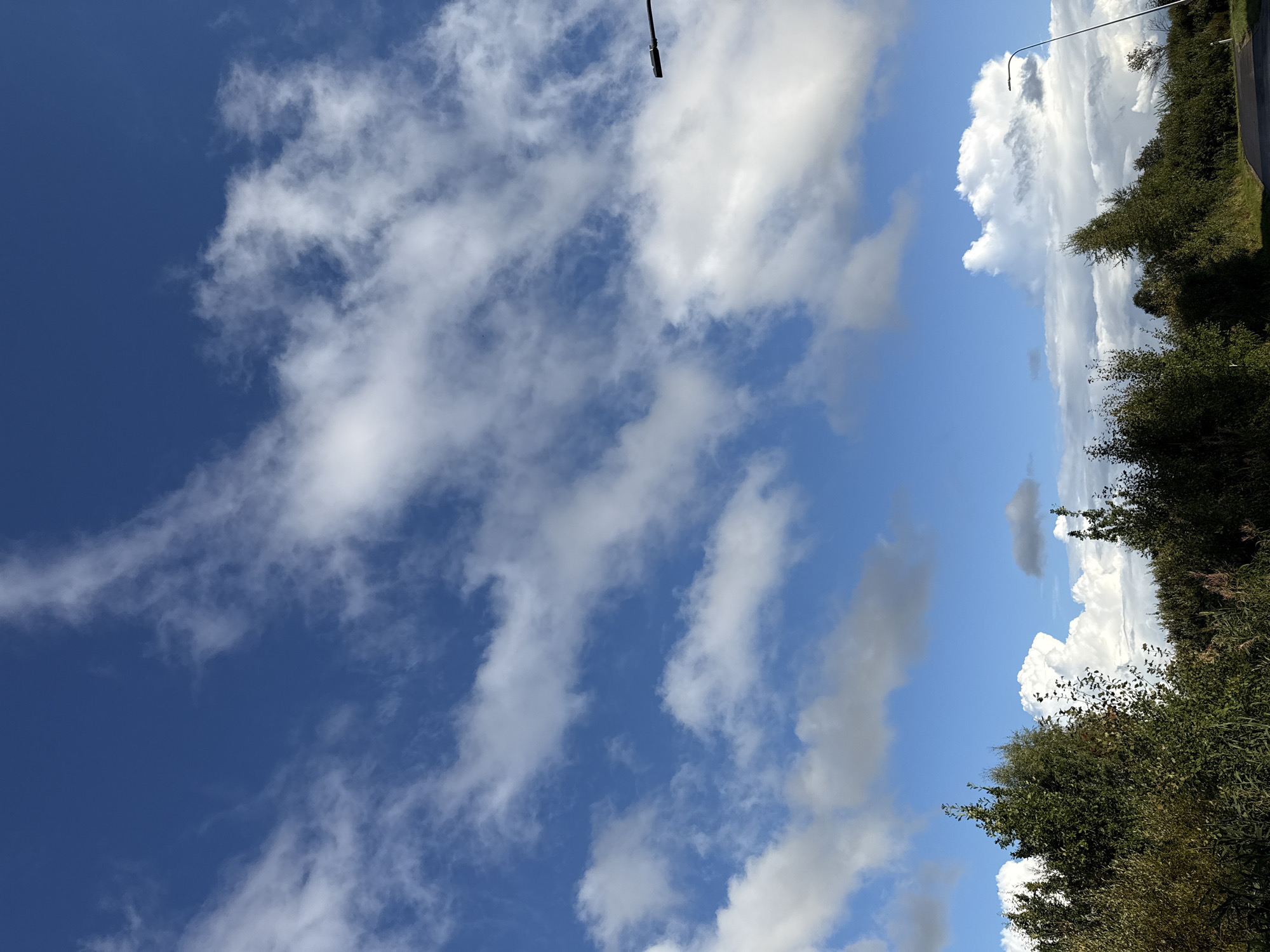 The image depicts a bright, partly cloudy sky over a natural landscape, likely in Harkujärve, Estonia. The sky is a vibrant blue, with scattered white and grey clouds, some appearing wispy and others more voluminous. The clouds suggest a dynamic weather pattern. In the lower portion of the image, lush green trees and foliage dominate the scene, indicating a rural or semi-rural setting. The vegetation appears dense and varied, with some taller trees interspersed with lower bushes and grasses. A slender, dark lamp post extends diagonally from the upper right corner downwards, its fixture clearly visible. A paved road is visible in the lower right quadrant, suggesting a nearby pathway or thoroughfare. The overall atmosphere is serene and natural, with no people or animals present.