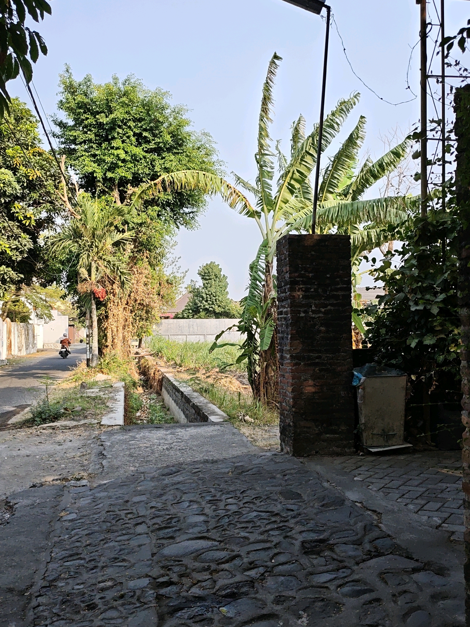 The image shows a street scene in Ngasem, Indonesia, on a clear day. In the foreground, a cobblestone pathway leads to a darker asphalt road. To the right, a brick pillar stands next to a light-colored refuse bin. Beyond the pathway, a narrow concrete drainage channel runs alongside a grassy area. A person on a motorcycle travels away from the viewer down the asphalt road, which is lined with houses and lush vegetation, including banana trees and other leafy plants. The overall impression is of a quiet, residential area with abundant plant life under a bright sky.