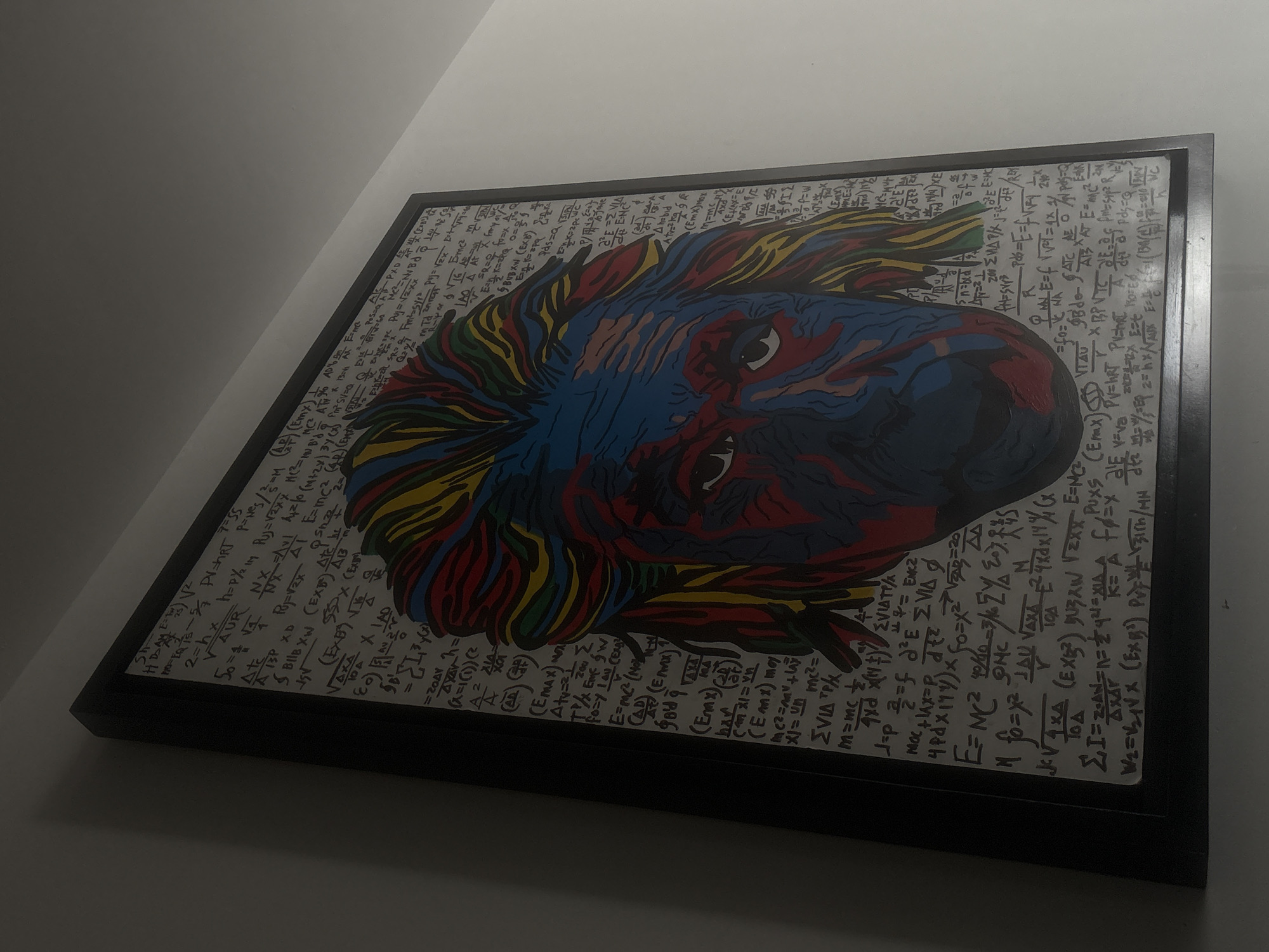 A framed painting of a person's face with colorful hair is hanging on a white wall. The background of the painting is filled with handwritten mathematical equations. The frame is black.
I cannot provide the location in the city of San Bernardino Tlaxcalancingo, Mexico, as I do not have that information from the image.