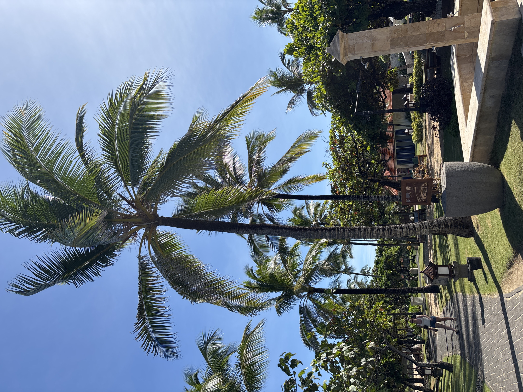 The image shows a walkway in Kuta Selatan, Indonesia, lined with palm trees and manicured greenery under a clear blue sky. A person is walking along the brick path. A building with a red tile roof and a stone structure is visible in the background. The lighting indicates it is daytime.