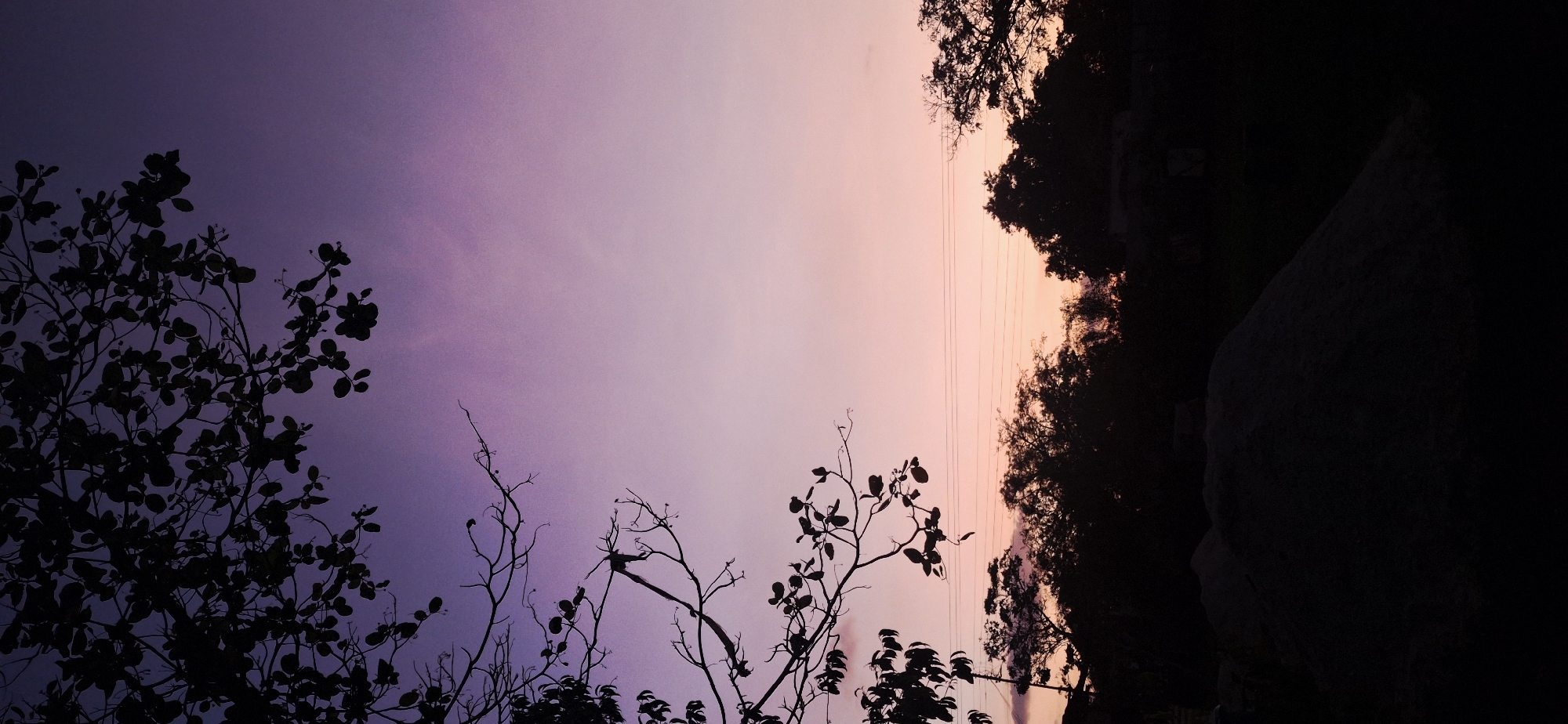 The image depicts a twilight or sunset scene, likely taken in Vallecito, Venezuela. The sky exhibits a gradient from a deep purple hue on the left to a lighter pinkish-orange on the right. Silhouetted branches and foliage from trees occupy the foreground, with more dense, darker silhouettes of trees and possibly a large rock or structure on the right side. Thin power lines are visible extending across the upper right portion of the sky. No people are visible. The scene is characterized by the strong contrast between the colorful sky and the dark foreground elements.