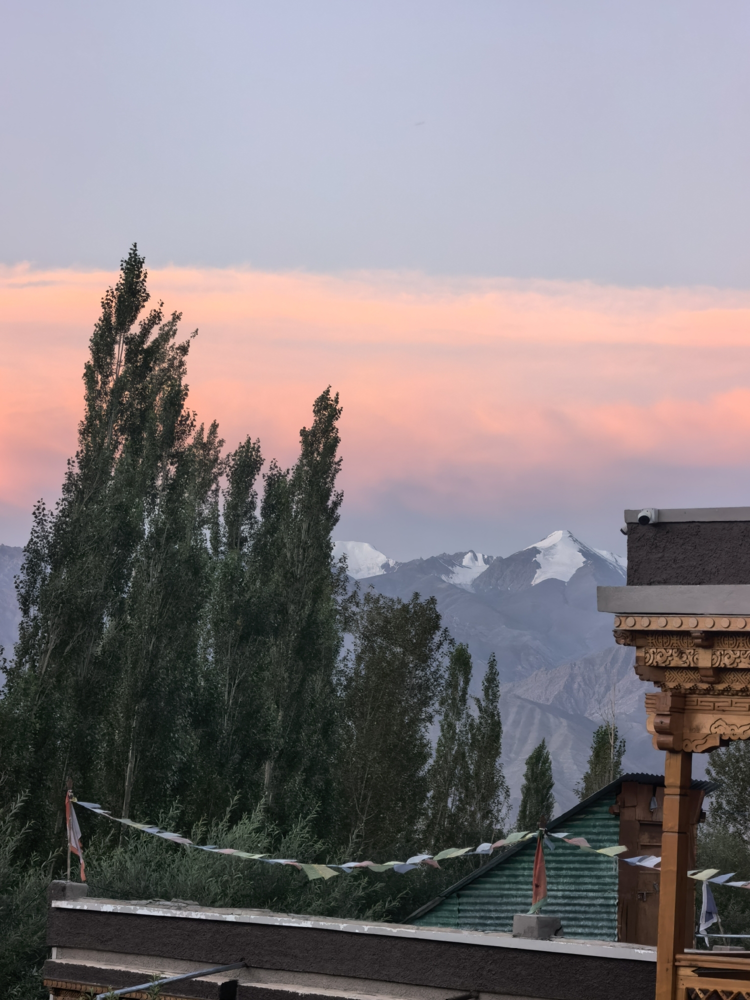 The image depicts a panoramic view of Leh, India, during a sunset. Tall, slender trees with lush green foliage dominate the foreground on the left side, interspersed with a string of colorful prayer flags. In the mid-ground, several low-lying buildings with corrugated green roofs are visible, adorned with prayer flags. Further in the background, majestic snow-capped mountains form a dramatic backdrop against a sky painted with soft hues of pink and lavender, indicative of twilight. The scene is devoid of any human presence. The architecture suggests a traditional Himalayan style, common in Leh.
