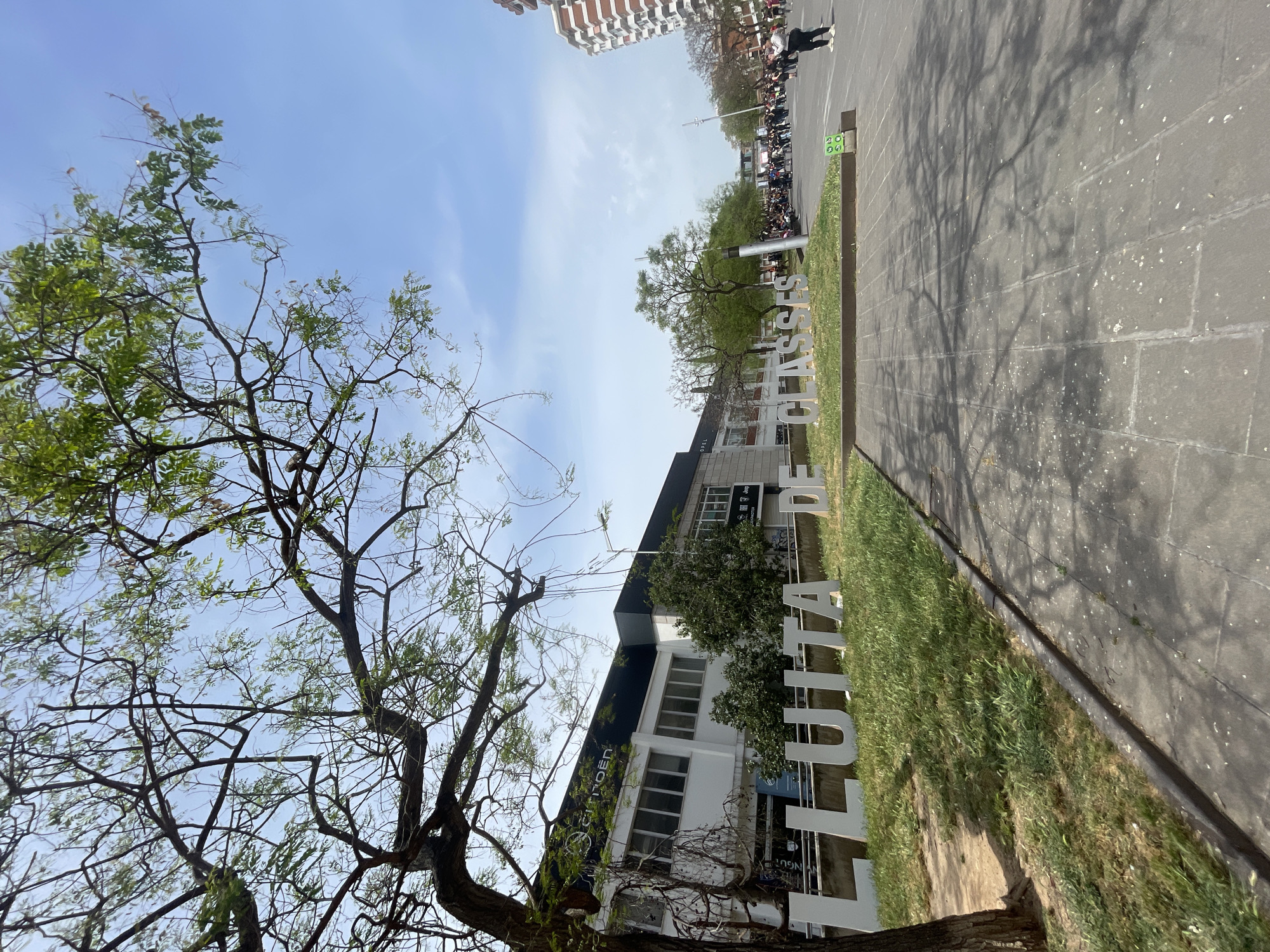 An outdoor urban scene in Barcelona, Spain, captured on a clear, sunny day. The foreground is dominated by the sprawling branches and green foliage of a large tree, whose shadow extends onto the paved ground to the right. In the mid-ground, a strip of green grass features large, white, three-dimensional letters spelling out "LLUITA DE CLASSES" (Class Struggle). Behind this sign is a modern, multi-story building, partially white and partially dark-colored, with numerous windows. Text visible on the building includes "CITROËN," "JEEP," and "OPEL," suggesting a commercial establishment or car dealership.
Further in the background, a paved plaza or street is populated by a gathering of people, appearing to be standing in groups or lines, potentially attending an event or demonstration. A tall, multi-story residential building with a reddish-brown facade is visible in the distant background on the right. The sky is bright blue with only a few wispy clouds, and tree shadows indicate either morning or late afternoon sun. The overall impression is that of a public gathering in an urban setting, underscored by the prominent message of "LLUITA DE CLASSES."