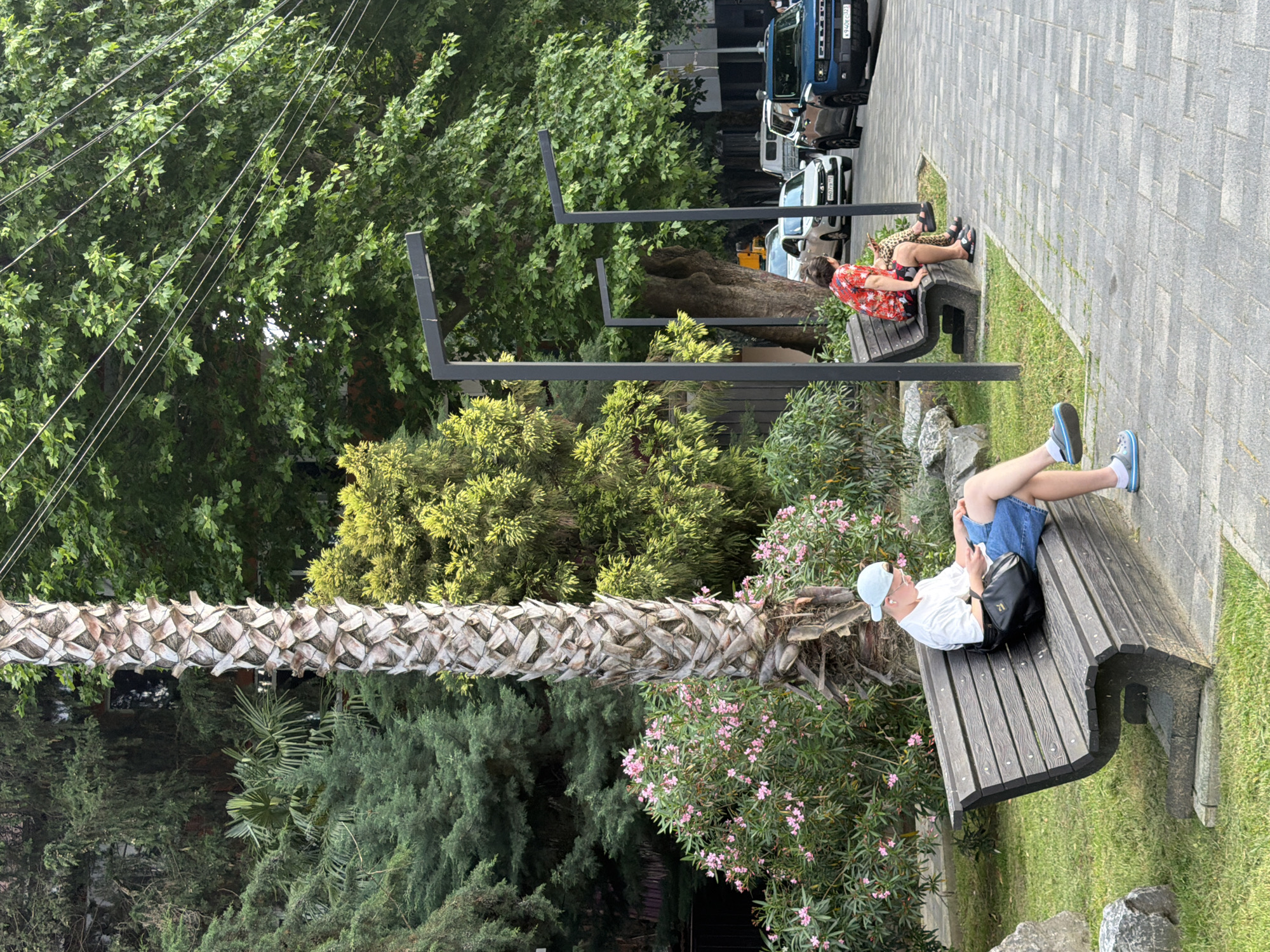 The image depicts a sunny outdoor scene on a street in Sochi, Russia, characterized by lush greenery and a sidewalk. In the foreground, a person wearing a white t-shirt, blue denim shorts, and a light blue cap sits on a wooden bench, engrossed in their smartphone and wearing earbuds. A black bag rests beside them. To the right, another person in a red shirt with a floral pattern and leopard-print shorts sits on a similar bench, also looking at their phone.
Behind the benches, a pathway with grey paving stones is visible, leading to a street with several parked cars. These include a white sedan, a dark blue SUV, and another white vehicle. Overhead, thick green trees and power lines are prominent, with a tall palm tree to the left of the frame, its trunk textured with diamond-shaped patterns. Pink flowering bushes are situated near the palm tree and to the left of the benches. The overall impression is a relaxed, urban environment with abundant natural elements.