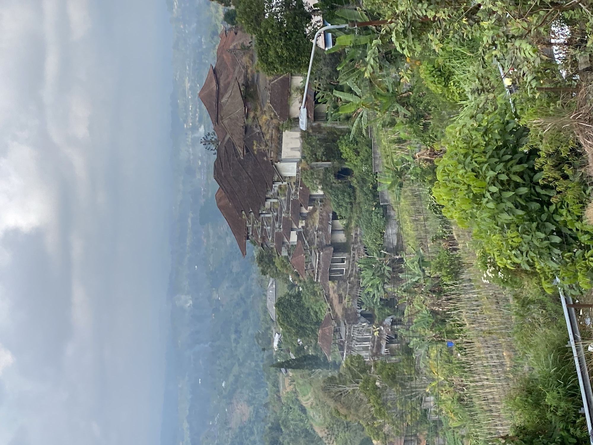 The image depicts a sprawling, somewhat dilapidated architectural complex situated on a hillside overlooking a lush, verdant valley. The structures, characterized by numerous pitched roofs with dark, weathered tiles, are built on multiple levels, cascading down the slope. The buildings appear to be constructed with concrete and stone, many showing signs of age and disrepair, with some sections appearing incomplete or partially collapsed. Vegetation, including trees, banana plants, and tall grasses, is abundant and encroaching on the structures, suggesting a period of abandonment or disuse. In the foreground, dense green foliage and cultivated fields are visible, with a metal barrier or railing running along the bottom edge of the frame. A modern street lamp stands prominently on the right side of the image, contrasting with the older architecture. The sky is overcast with grey clouds, casting a diffused light over the scene. The overall impression is one of a once-grand property now being reclaimed by nature, located in a hilly, rural or semi-rural setting in Baturiti, Indonesia.