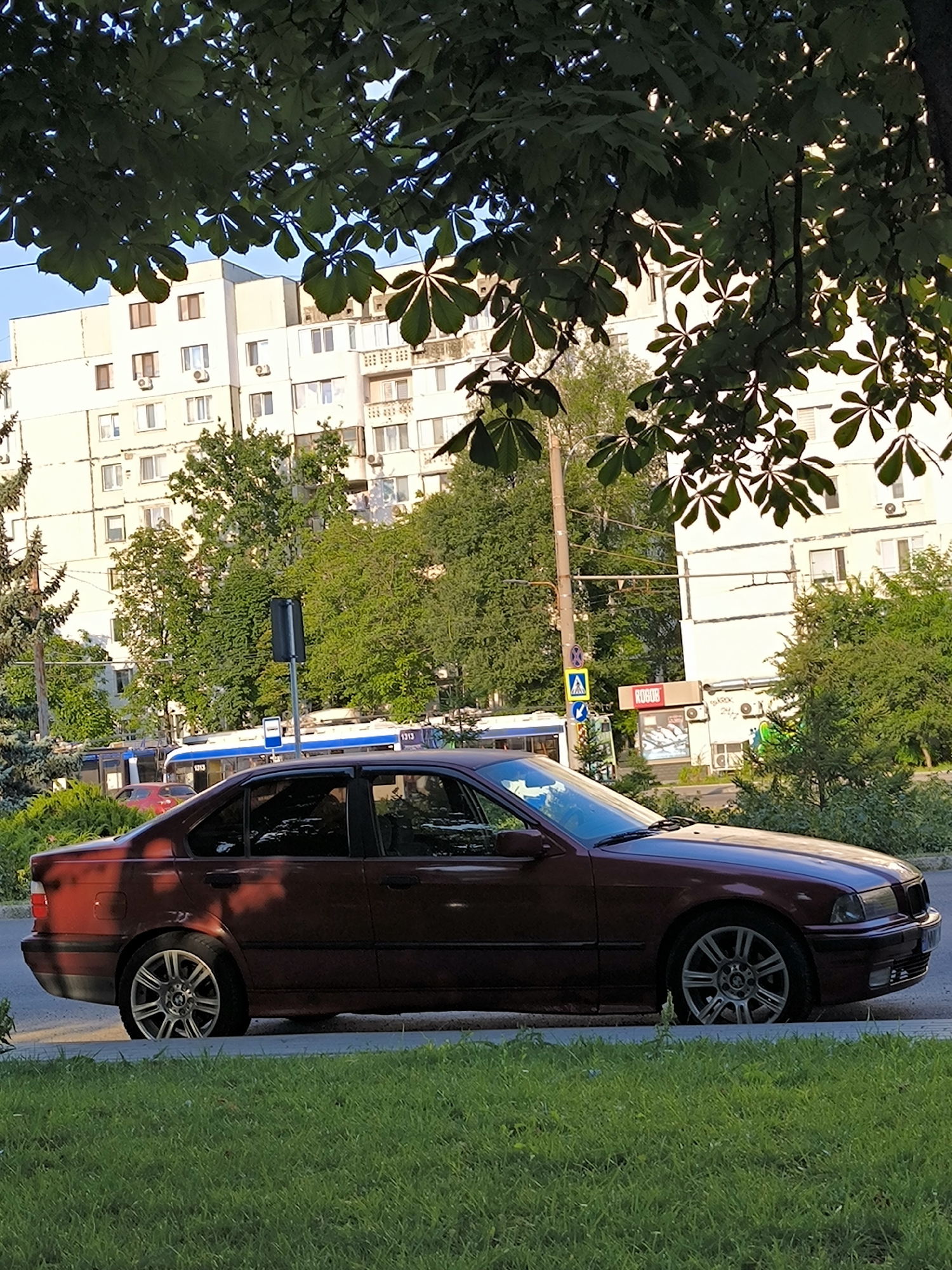 The image captures a scene on a street in Chișinău, Moldova, under a canopy of large, leafy trees. A maroon sedan, likely a BMW 3 Series E36, is parked on the side of the road, partially obscuring the view of a public transport vehicle, possibly a trolleybus, that is visible behind it. The trolleybus has a white and blue livery, and the number "1313" is visible on its side. In the background, a large, multi-story residential building with cream-colored facades and numerous windows stands, suggesting an urban environment. The building appears to be an apartment block. Trees and greenery are abundant, with a well-maintained patch of grass in the foreground. The sky is a clear blue. The overall impression is a snapshot of daily life in a residential area of the city.