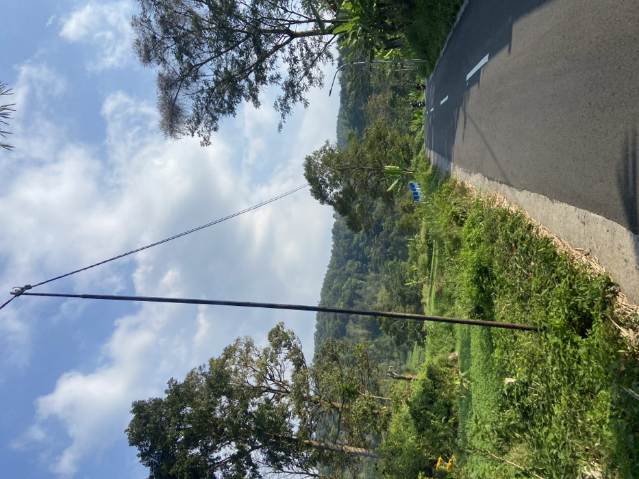 This image depicts a rural or semi-rural scene in Sukoreno, Indonesia, characterized by a paved road winding through lush, green vegetation and mountainous terrain under a partly cloudy sky.
**Environment:** The scene is set outdoors during daylight hours, evidenced by bright illumination and distinct shadows. The sky occupies the upper third of the frame, displaying a clear blue with scattered white cumulus clouds. The terrain is mountainous, with heavily forested hills forming the background.
**Road:** A two-lane asphalt road, dark gray in color, runs from the lower right foreground into the midground, gently curving towards the right and ascending. A broken white line is painted along the center of the road. A narrow, lighter gray concrete shoulder borders the left edge of the road.
**Vegetation:** Dense, varied green vegetation dominates the left side of the road and the background. In the immediate foreground on the left, there is thick undergrowth and smaller plants. Further back on the left, larger trees with dark green foliage are prominent. Across the road and further into the midground, more trees are visible, including banana plants on the right side of the road. The background consists of steep, verdant hills covered in dense forestation.
**Objects:**
* A tall, slender, dark utility pole stands vertically in the left foreground, slightly off-center, extending out of the top of the frame. Two dark utility wires extend diagonally upwards and to the right from an attachment point near the top of the pole.
* A blue guardrail or barrier is visible on the left side of the road in the mid-distance.
* A dark gray streetlamp post with a white light fixture is visible on the right side of the road in the mid-distance.
**People/Vehicles:**
* Two individuals on separate motorcycles are visible in the distance on the road, moving away from the viewer. Both appear to be wearing dark clothing and helmets.