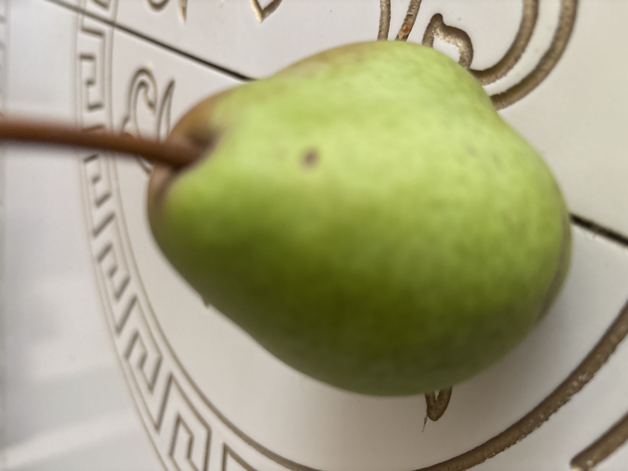 A green pear with a brown stem sits on a white surface with an ornate gold pattern. The surface appears to be tiled or decorated with a geometric design. The background is blurred, but suggests a white, textured wall or surface. The lighting is bright and diffused, casting soft shadows. The image is an indoor still life, with no people present and no indication of location within Georgiyevsk, Russia.