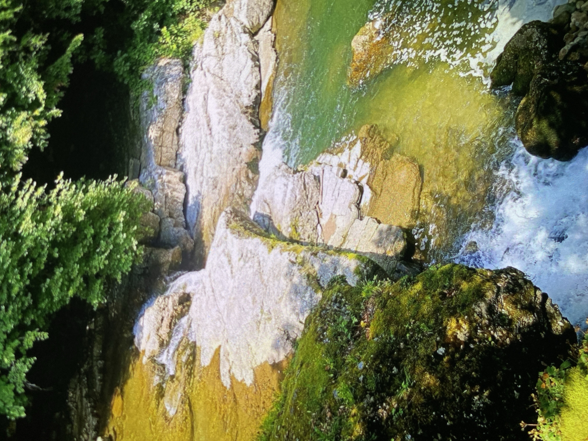 The image presents a high-angle, top-down view of a natural water feature, likely a cascading stream or river flowing through a rocky gorge. The scene is dominated by large, irregularly shaped rock formations, flowing water, and lush green vegetation.
The rocks vary in color from light gray and off-white to beige and brown, suggesting different mineral compositions or water erosion patterns. Some rock surfaces, particularly in the foreground and along the water's edge, are covered with vibrant green moss and small plants, indicating a humid environment.
The water itself displays a range of characteristics. In deeper, calmer pools, it appears a vivid emerald green, possibly due to reflections from the surrounding foliage or mineral content. Where the water flows over and around the rocks, it becomes turbulent and frothy, appearing white and opaque as it forms small cascades and rapids.
Dense green foliage, resembling trees or thick bushes, frames the left side of the image, casting deep shadows in parts and creating a verdant border to the rocky landscape. A large, dark, moss-covered rock is prominent in the bottom right corner, partially obscured by more green vegetation.
The bright illumination across the scene suggests it is daytime, likely a sunny morning or early afternoon. No people, animals, or artificial structures are visible, emphasizing the untouched natural environment. There is no visible text in the image. The setting is a scenic natural landscape in Bankya, Bulgaria.