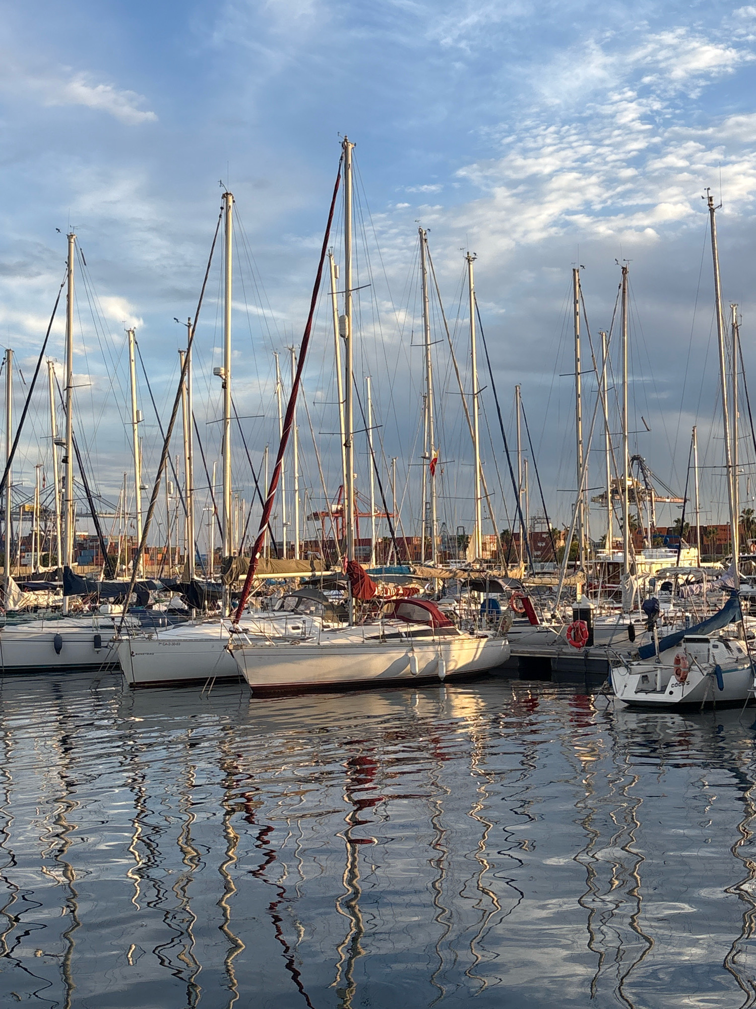 The image depicts a marina in Valencia, Spain, filled with numerous sailboats. The boats are docked in rows, with their masts reaching high into the sky. The water in the marina reflects the boats and the sky, creating a striking visual effect. In the background, a large industrial port area is visible, with cranes and shipping containers. The sky is partly cloudy, with the sun casting a warm light on the scene. There are no people visible in the image.