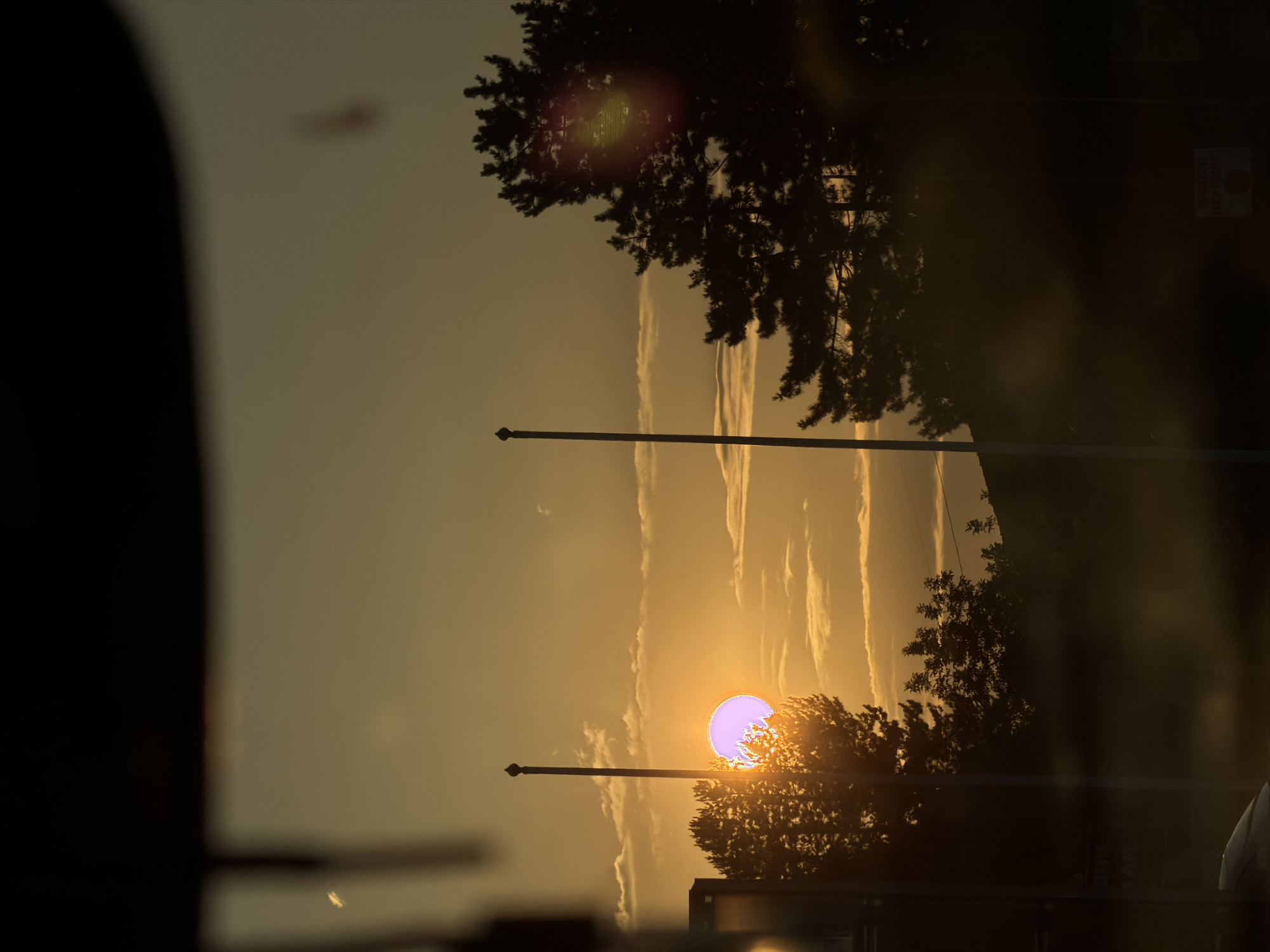 The image captures a sunset, oriented vertically, in Veliko Tarnovo, Bulgaria. The sun, a vibrant orb with a purple halo, is partially obscured by the silhouette of trees. Wispy clouds streak across the golden sky, indicating fair weather. A tall, slender pole with a finial stands prominently in the foreground, bisecting the frame and drawing the eye towards the sun. The silhouette of a large tree dominates the upper right quadrant, its branches intricately detailed against the luminous sky. On the left, a dark, out-of-focus shape, possibly the interior of a vehicle or a shadowed building, creates a strong contrast. In the lower right, a hint of a building or structure is visible, also in silhouette. A small, blurred sign with illegible text is present in the upper right quadrant. The overall mood is serene and contemplative, bathed in the warm glow of the setting sun. The time of day is clearly evening, marked by the sunset.