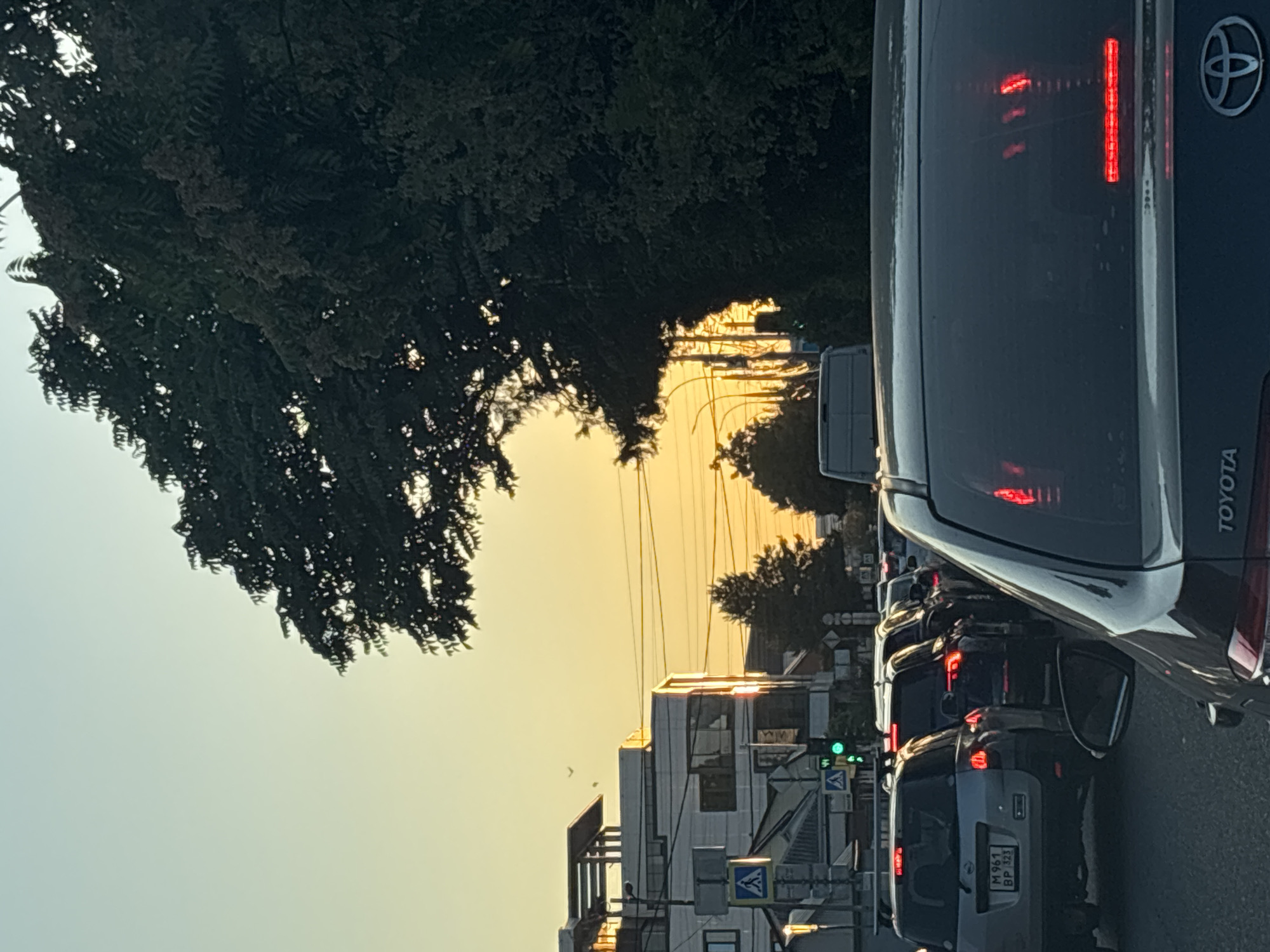 The image depicts a traffic jam on a city street in Krasnodar, Russia, during sunset. The sky is a warm gradient of yellow and blue, with the sun low on the horizon. Several cars are stopped in traffic, their brake lights illuminated. In the foreground, the rear of a dark-colored Toyota is visible, with its brake lights on. To the left, a silver SUV with a license plate reading "M 961 BP 323" is also stopped. Behind it, other vehicles are lined up. Buildings line the street, with modern architecture and glass facades. A large tree with dense foliage dominates the right side of the frame, casting shadows. Traffic lights, some showing green, are visible in the distance. There are no visible pedestrians or any specific actions or interactions occurring other than the passive state of being in traffic.