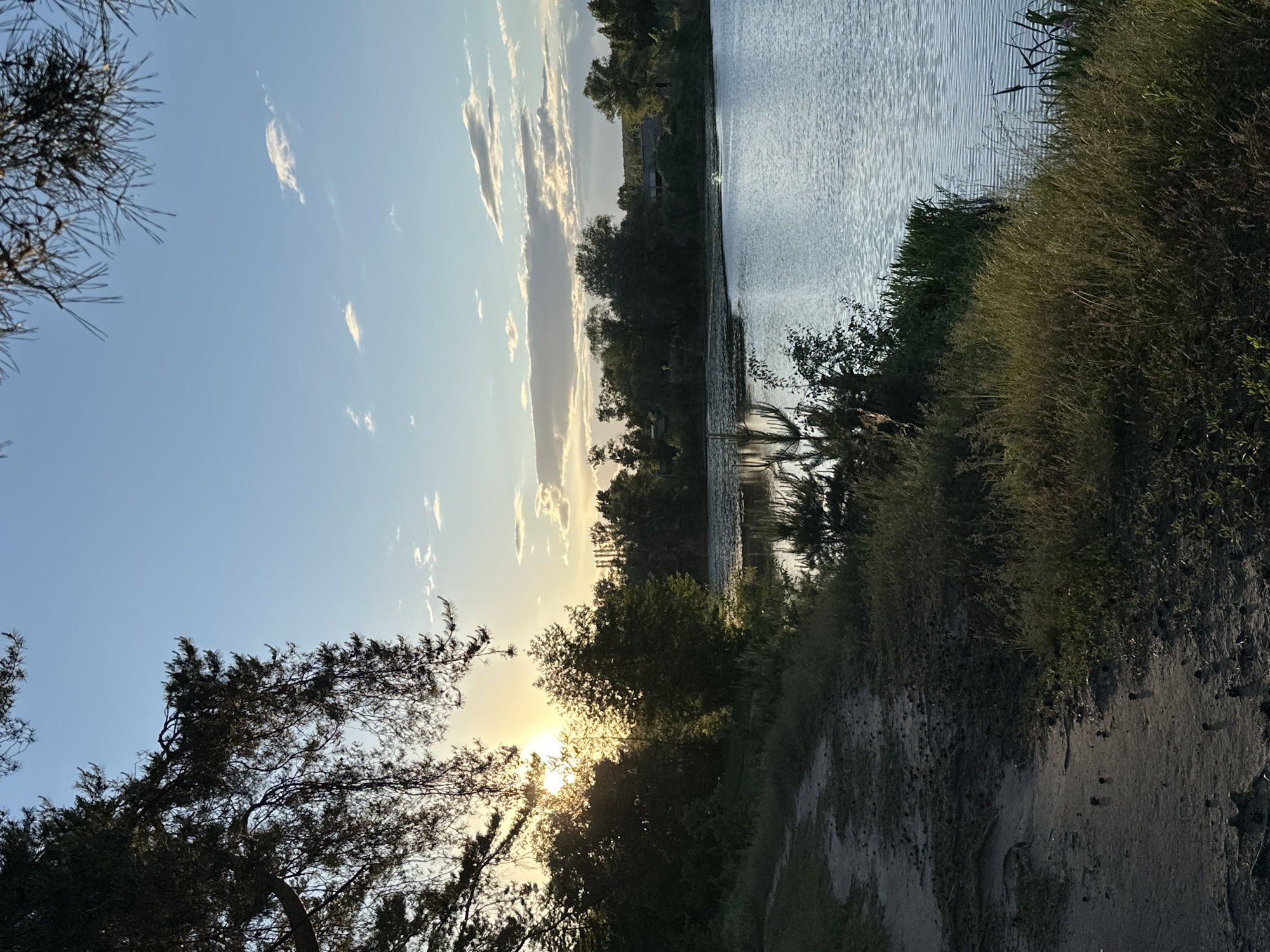 The image depicts a landscape scene at dusk. A body of water, possibly a lake or wide river, stretches across the frame. Its surface reflects the sky. The shoreline is vegetated with grasses and shrubs. In the foreground, a dirt path or embankment is visible. Trees with dark foliage frame the left side of the image, and the setting sun peeks through the branches. The sky is light blue with scattered clouds. The location is Unknown, Unknown. No people or interactions are visible.