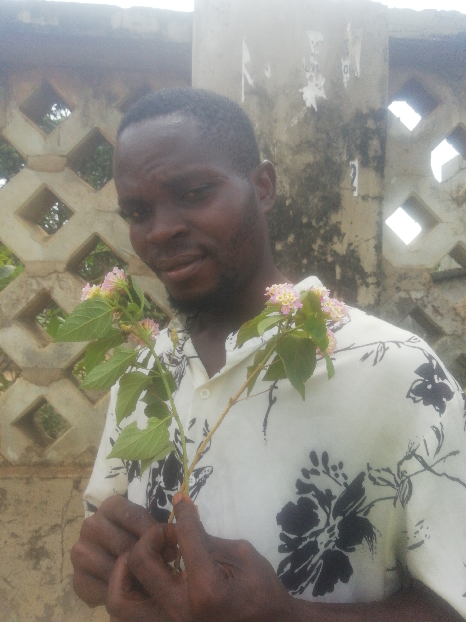 A man is standing outdoors, holding two sprigs of flowering plants with pink and yellow blossoms. He is wearing a white shirt with a black floral pattern. Behind him is a weathered concrete wall with square openings. There are also traces of ripped posters on a section of the wall. The location appears to be a city environment.