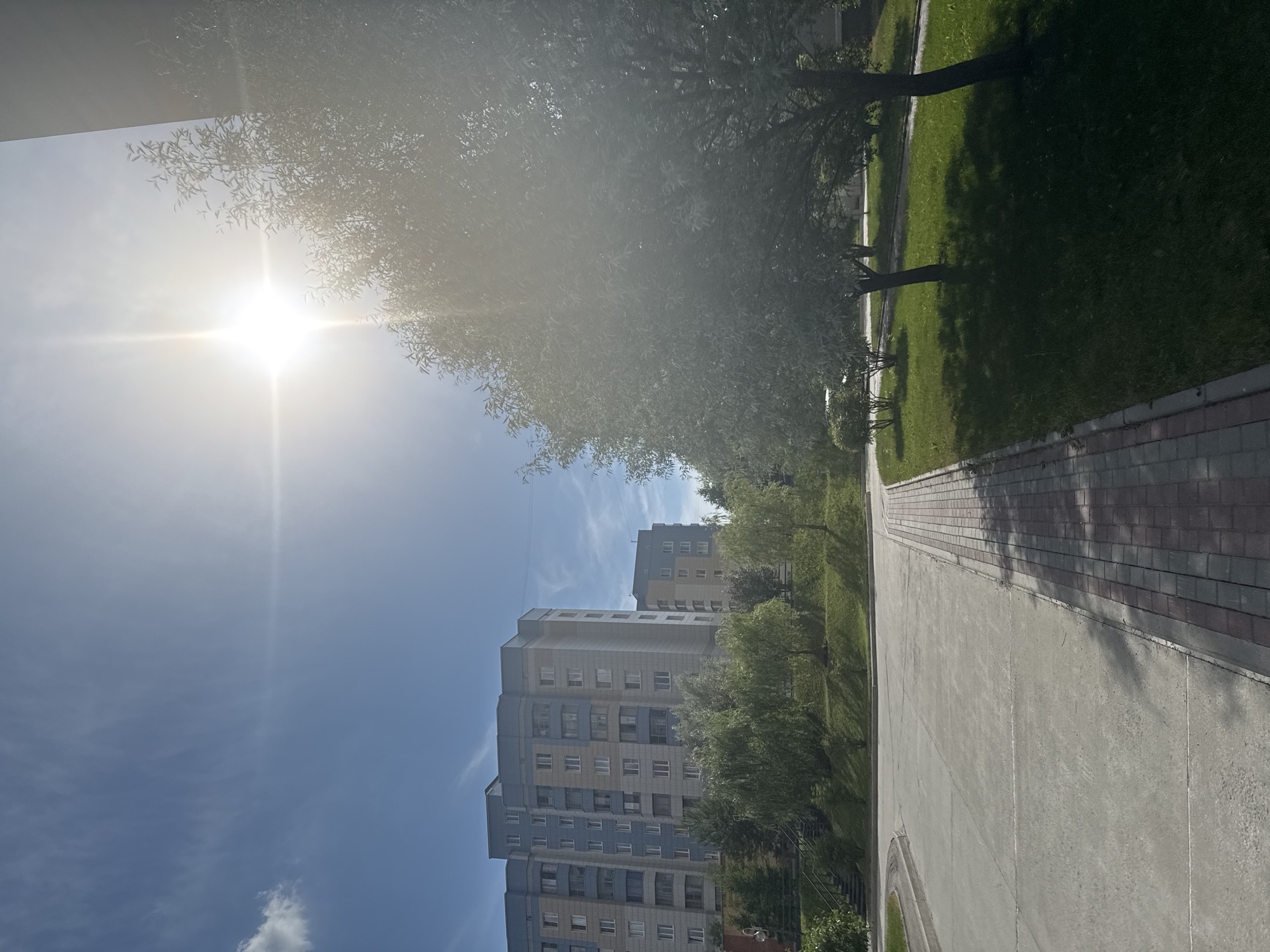 The image depicts a residential area in Koltsovo, Russia, on a bright, sunny day. In the foreground, a paved walkway made of red and gray bricks runs alongside a concrete area. To the right of the walkway is a well-maintained lawn with several trees, one of which is large and casts a shadow. In the mid-ground, there are more trees and bushes, and further back, two apartment buildings are visible. The larger building on the left is multi-story with a light blue and gray facade. The smaller building to its right has a similar architectural style with yellow and blue accents. The sky is clear blue with a few wispy clouds, and the sun is shining brightly, creating a lens flare in the upper right portion of the image. There are no people or vehicles immediately visible in the scene.