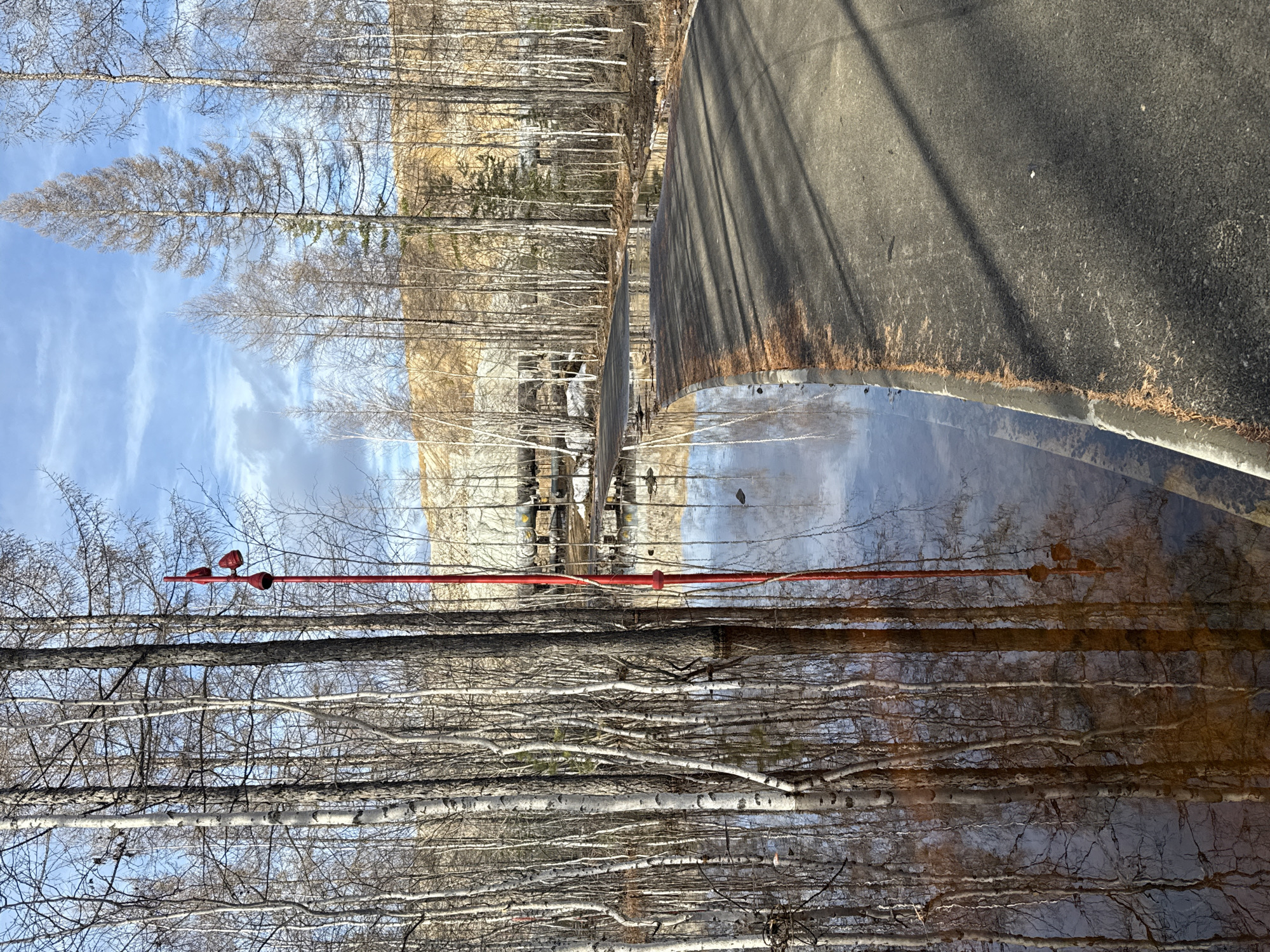 The image depicts a scene in Mirny, Russia, seemingly a reflection in water or ice. Bare birch trees dominate the foreground. An overhead red cable with red fixtures stretches horizontally across the middle of the image. Behind the trees and cable, a concrete structure or road edge is visible, adjacent to the water's edge. In the background, more trees are visible under a partly cloudy sky. The reflection in the water shows the trees and sky, with some distortion.