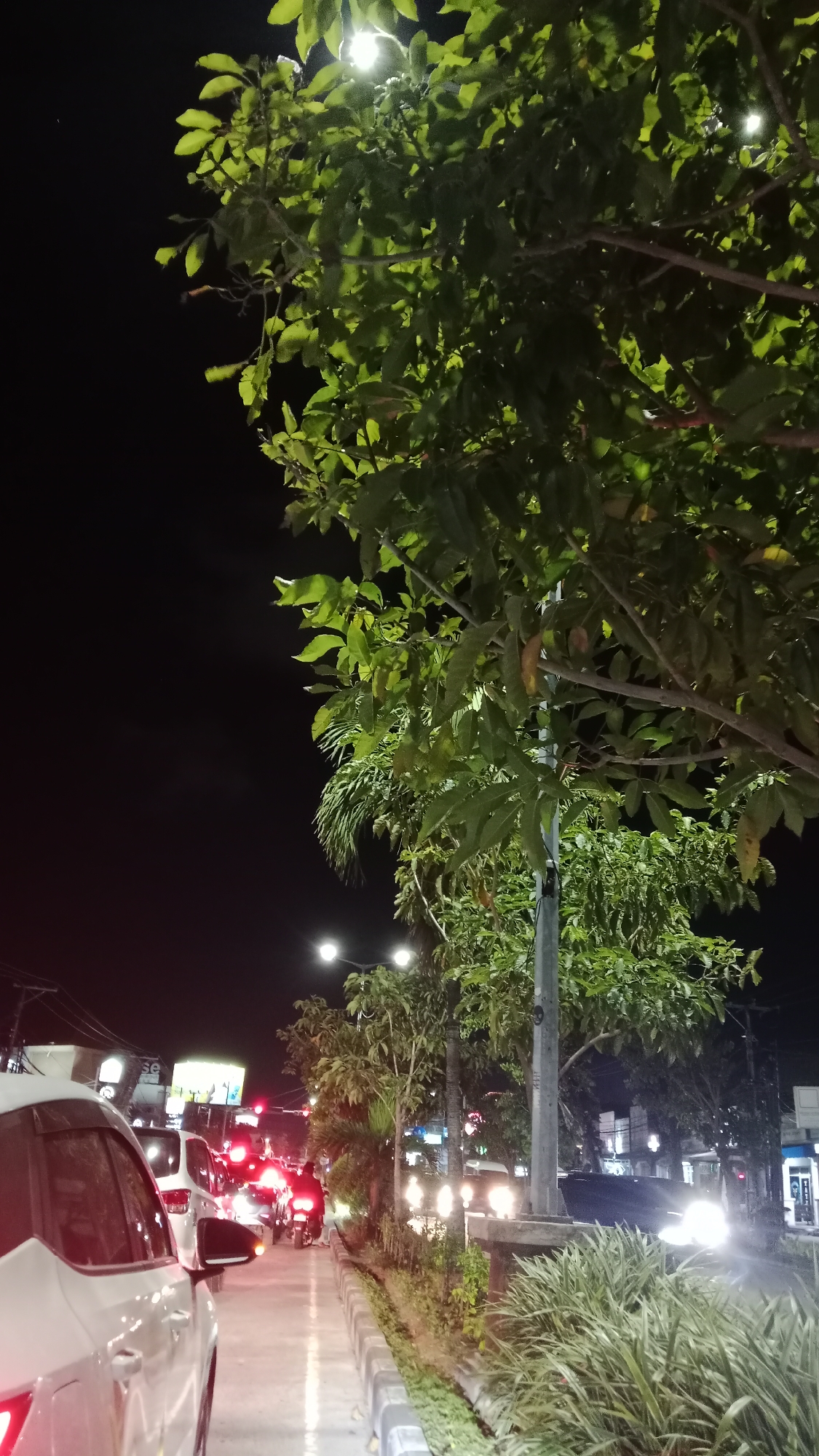 In the city of Kuta, Indonesia, a traffic jam unfolds on a dimly lit street at night. The foreground features the left side of a white car, its taillight glowing red. Beyond it, a procession of vehicles, including cars and motorcycles, are stopped in traffic. The road is lined with a sidewalk, bordered by a strip of green foliage and vegetation. A tall metal pole, likely a lamppost, stands near the sidewalk, illuminated by the warm glow of a street light. Trees with lush green leaves cast shadows, their branches reaching towards the night sky. In the background, buildings and other streetlights can be seen, their lights reflecting on the wet pavement, suggesting recent rain. The scene is characterized by the interplay of artificial light and darkness, highlighting the vibrant atmosphere of Kuta at night.