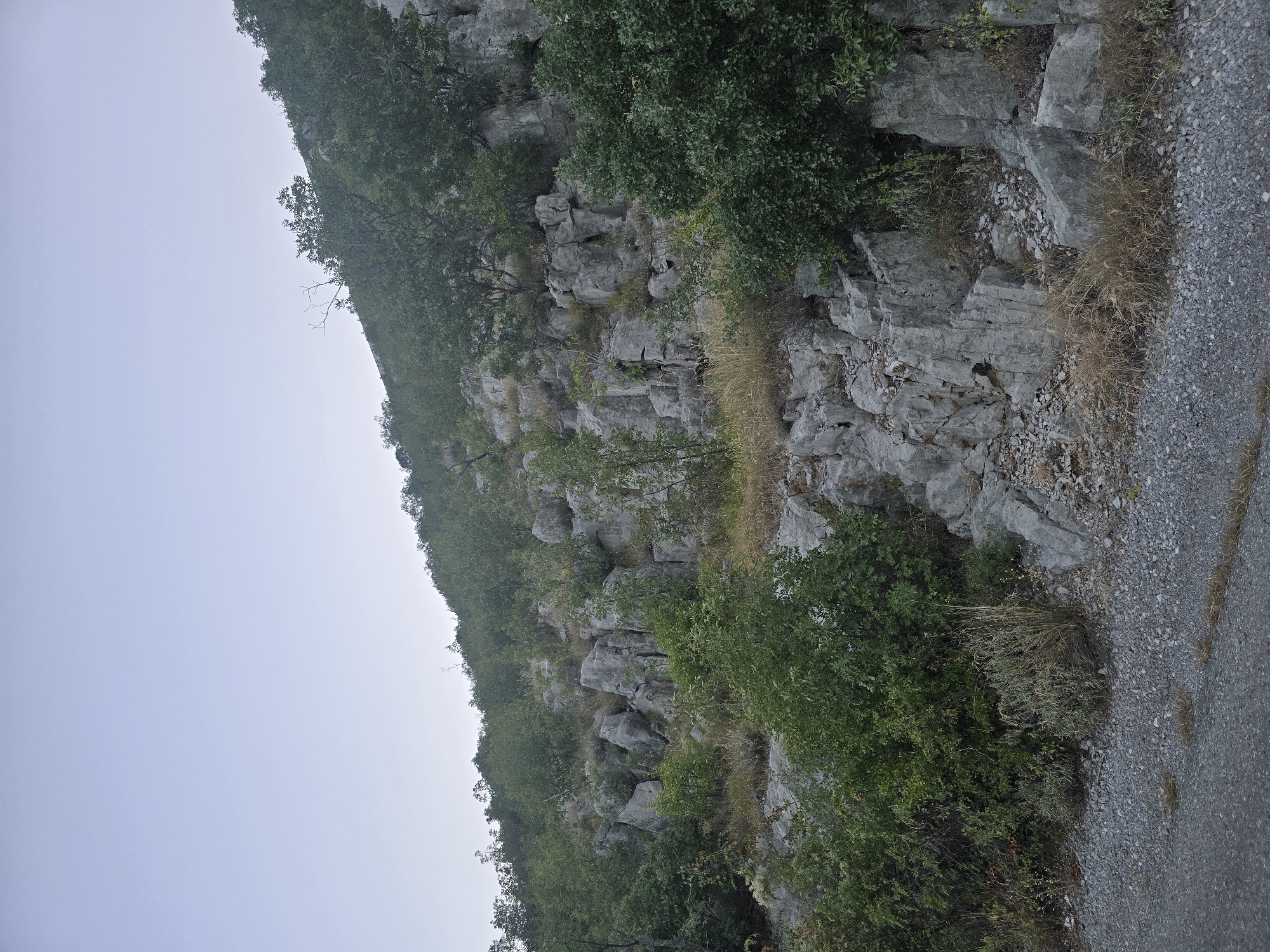 A rocky, overgrown hillside slopes upward towards a pale, overcast sky. The foreground features a gravelly roadside bordering an asphalt path. Large, gray rocks are interspersed with dense green vegetation, including trees and shrubs. Patches of dry, brown grass are visible amongst the rocks and plants. The scene depicts a natural, undeveloped area, likely a mountainous or hilly region. No people or specific structures are present.